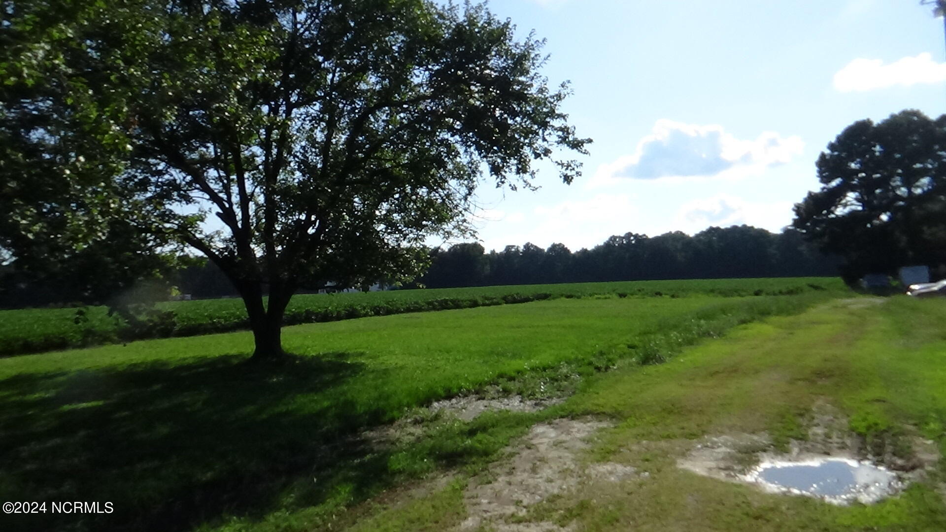 263 North Carolina 32 Highway Property Photo 18