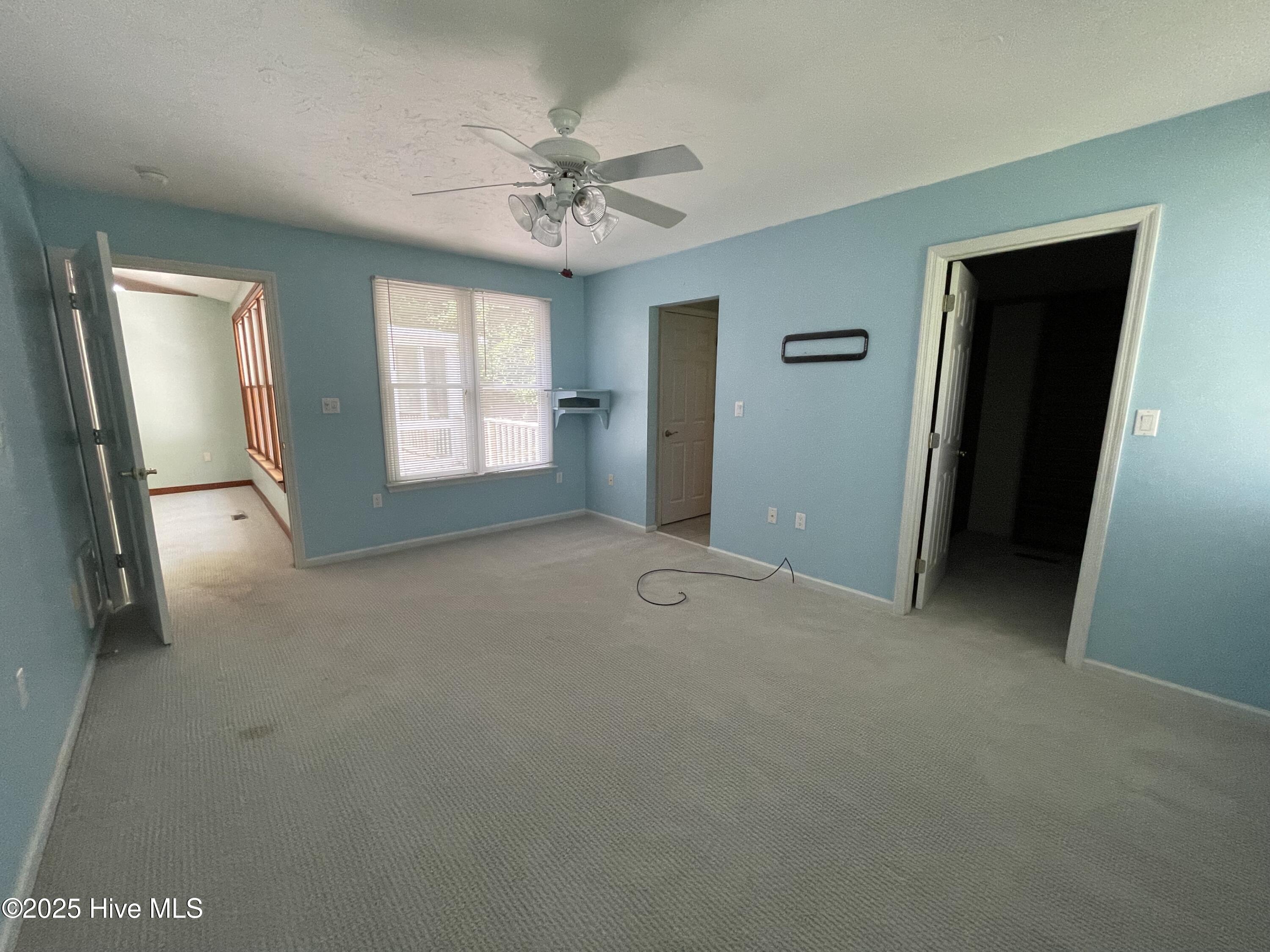 103 Arborvitae Court Property Photo 16