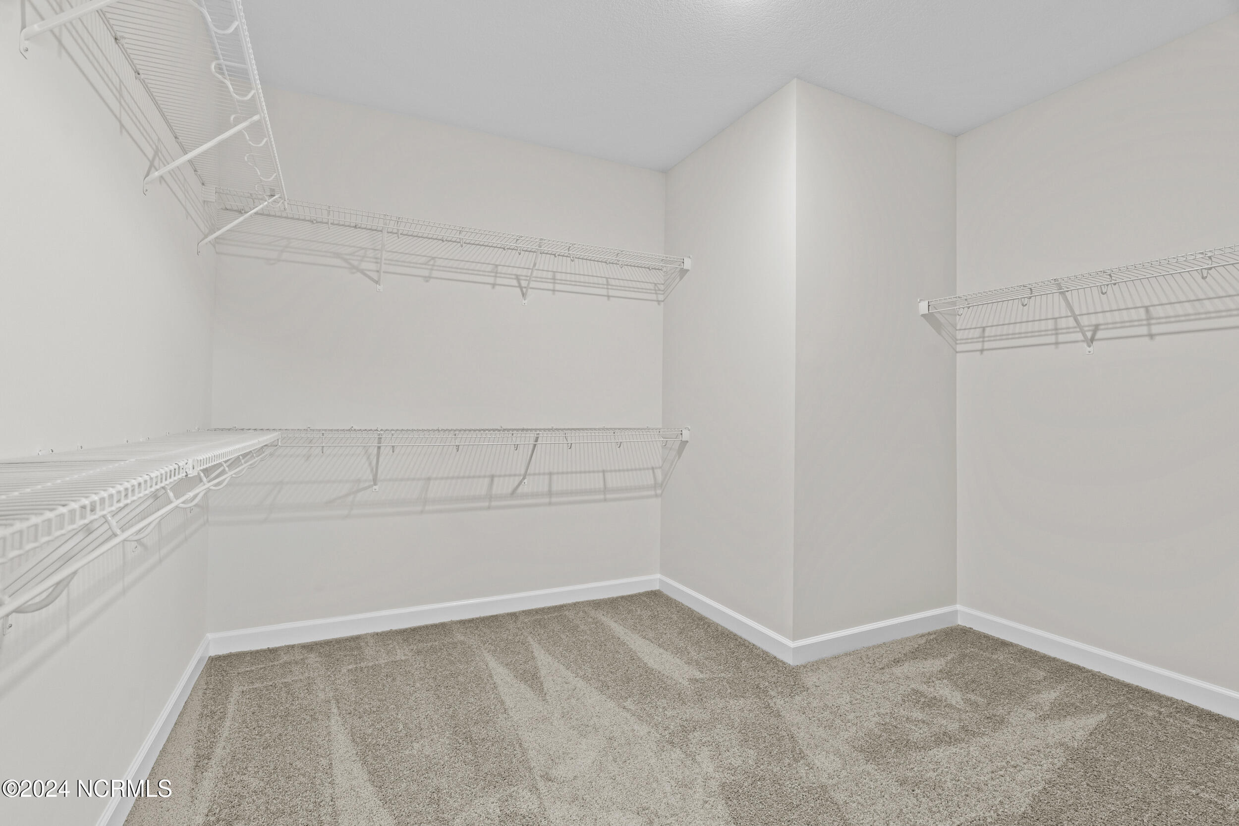 236 Quarter Horse Loop Property Photo 59