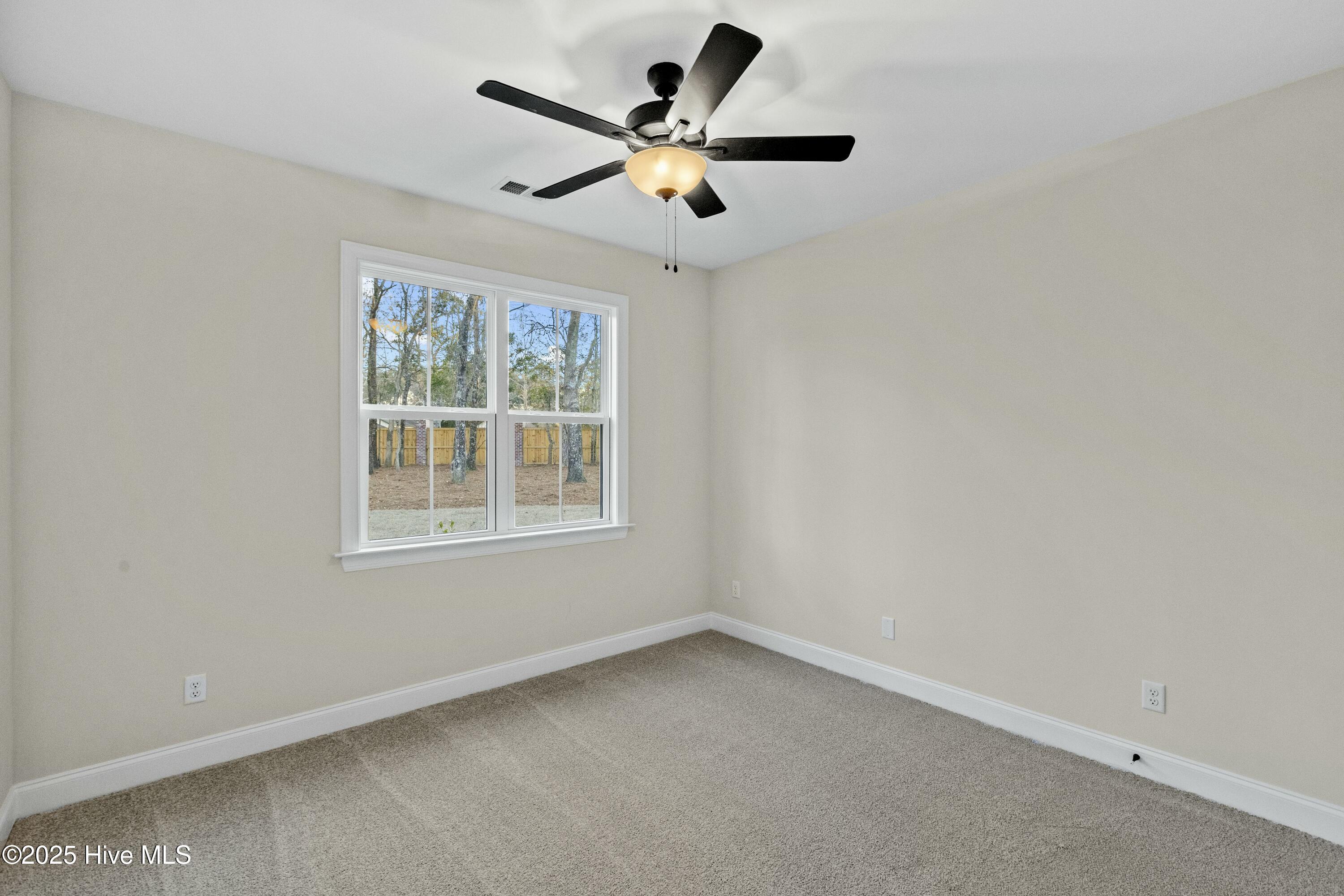 234 Hampton Court Property Photo 17