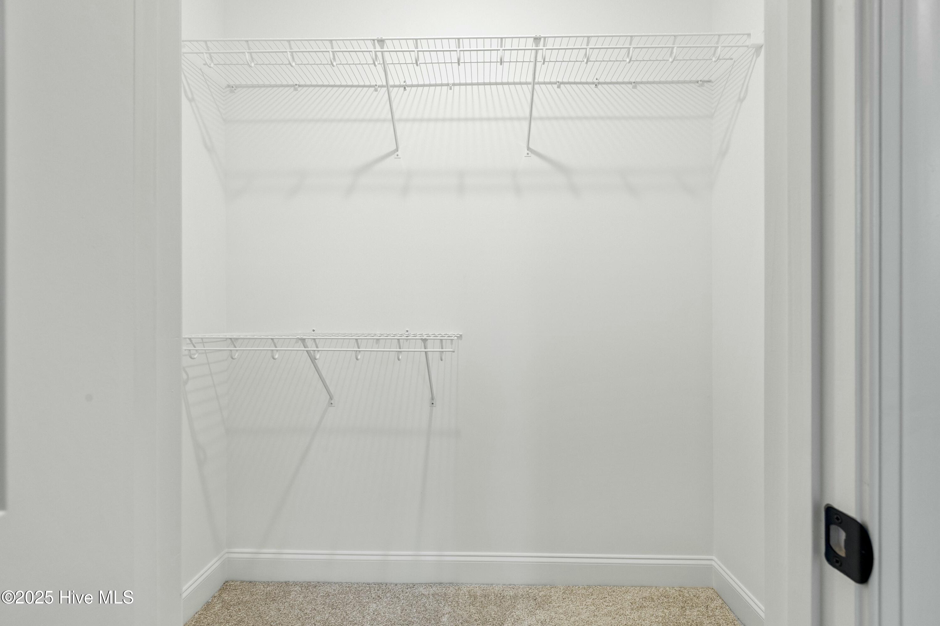 234 Hampton Court Property Photo 19