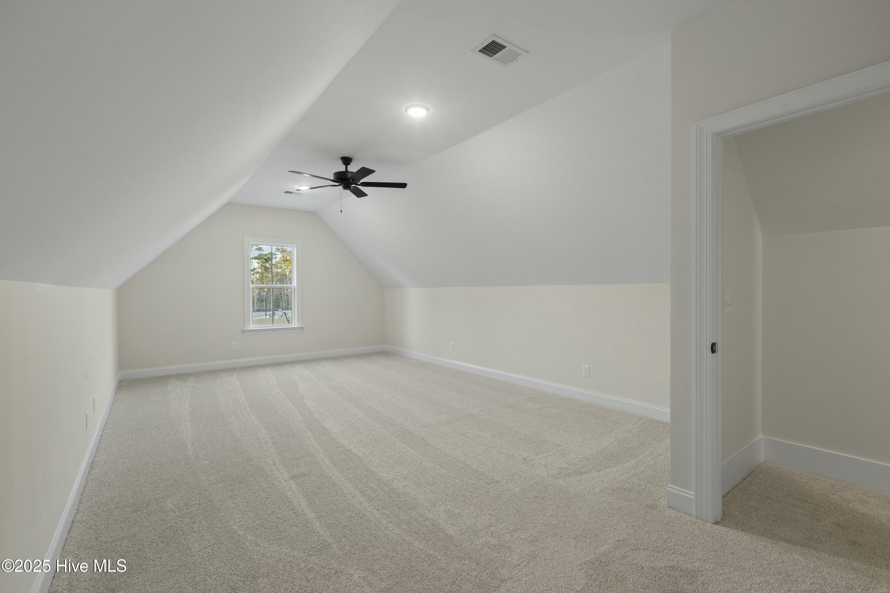 234 Hampton Court Property Photo 34