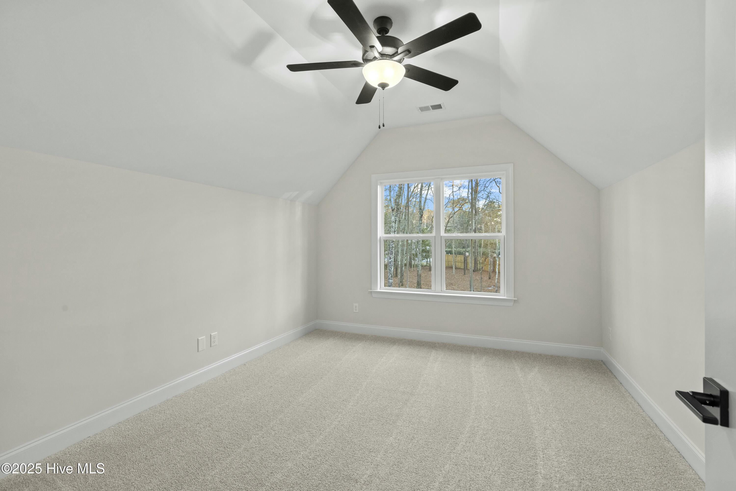 234 Hampton Court Property Photo 37