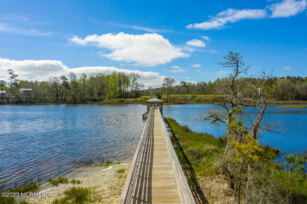 234 Hampton Court Property Photo 40
