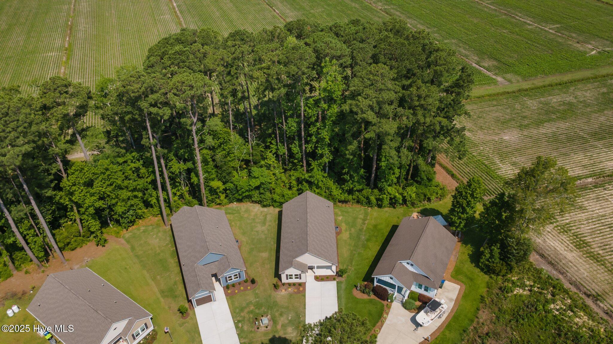 318 Camp Creek Drive Property Photo 35