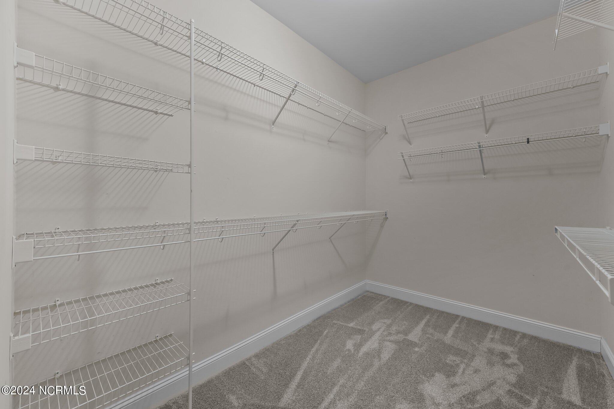 709 Lake Catherine Drive Property Photo 19