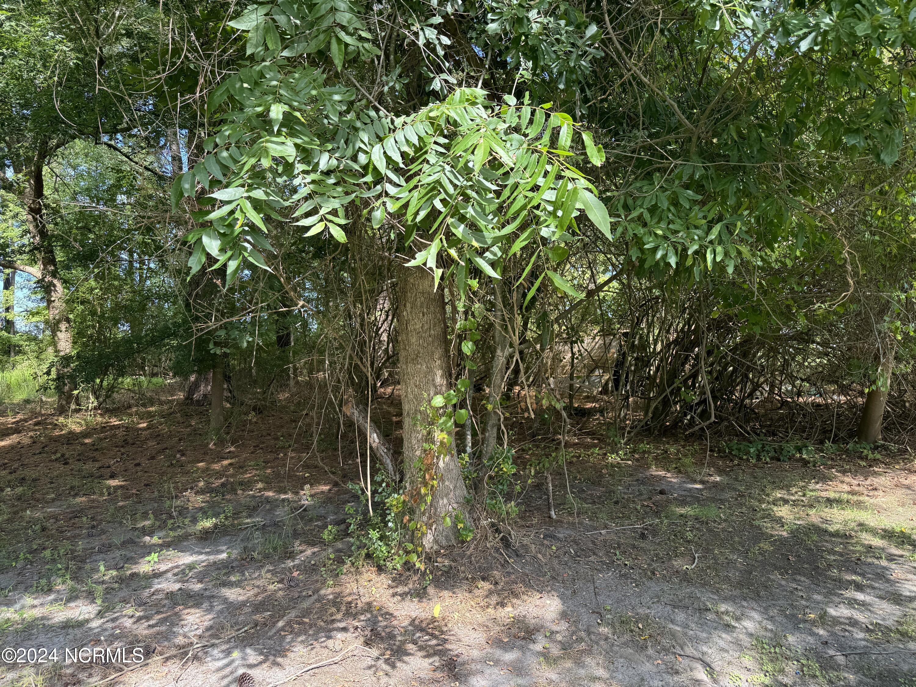 6748 Hassell Road Property Photo 21