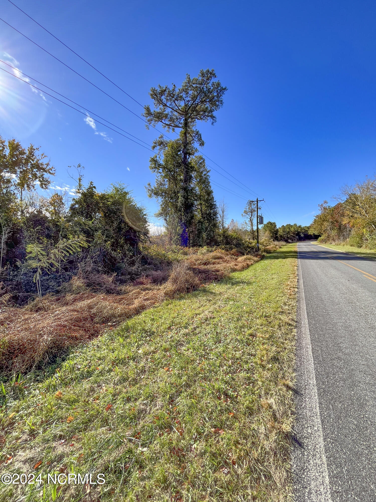 Tbd Bull Tail Road Property Photo 9