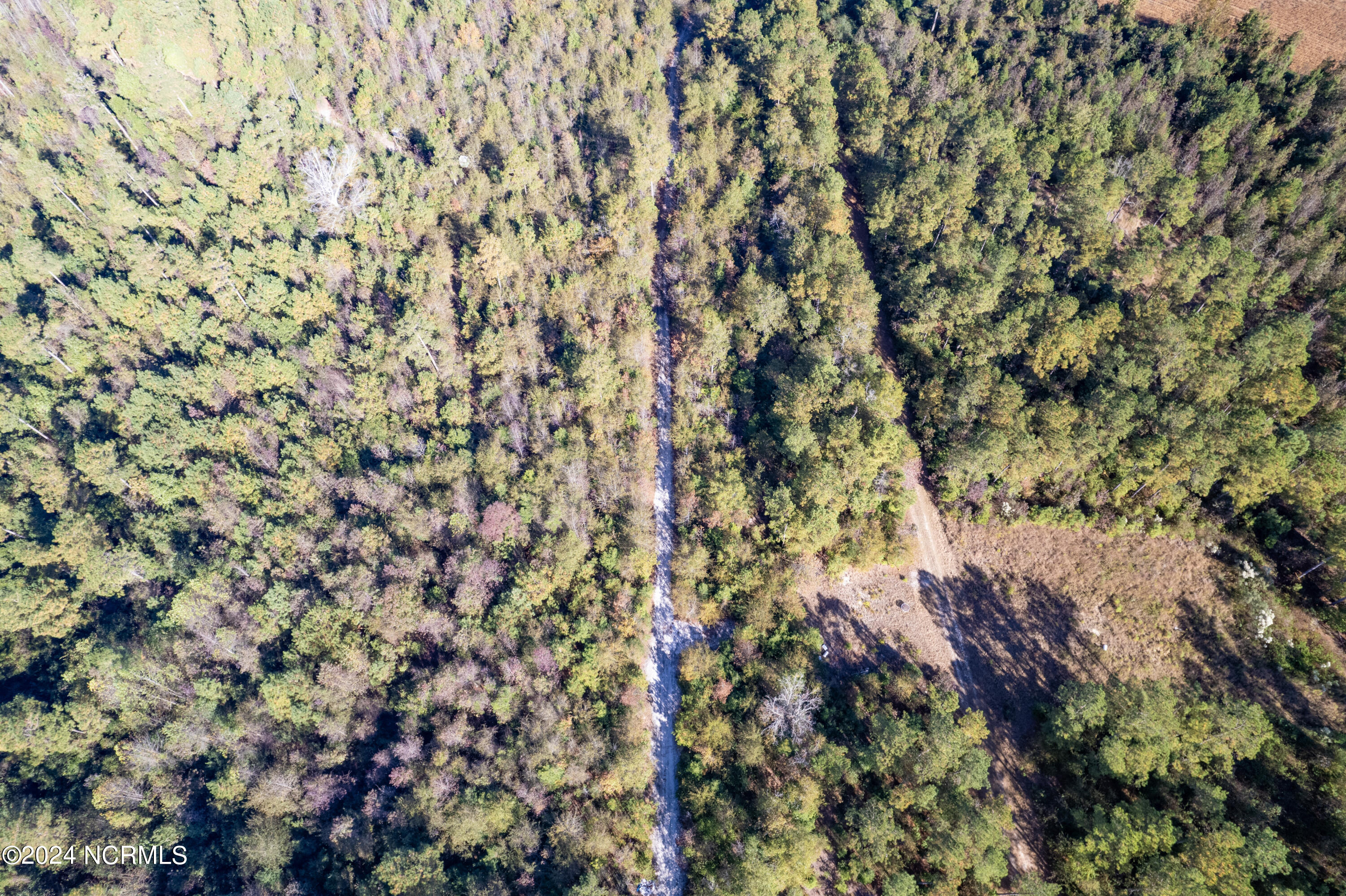 Tbd Bull Tail Road Property Photo 12