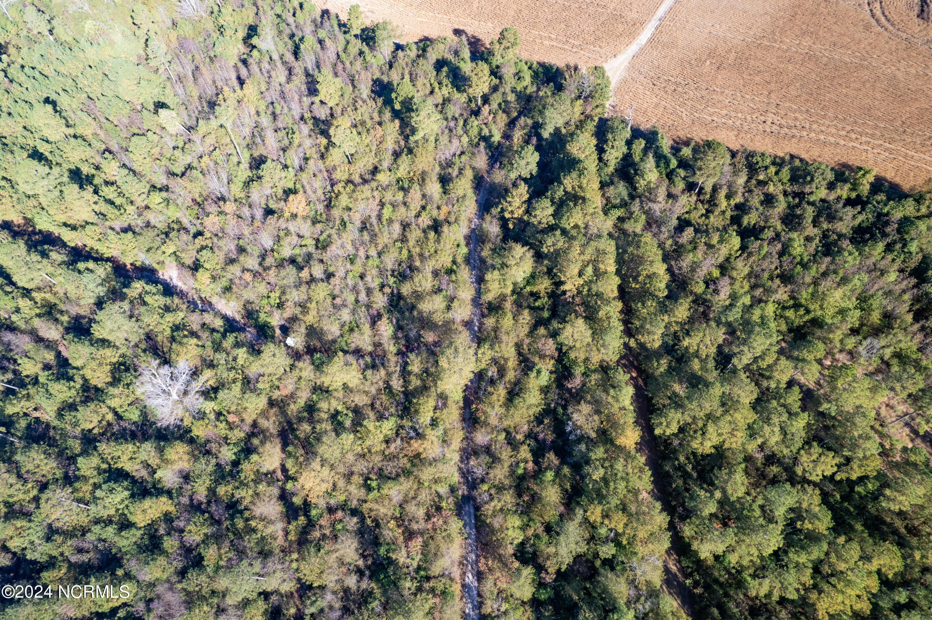 Tbd Bull Tail Road Property Photo 13