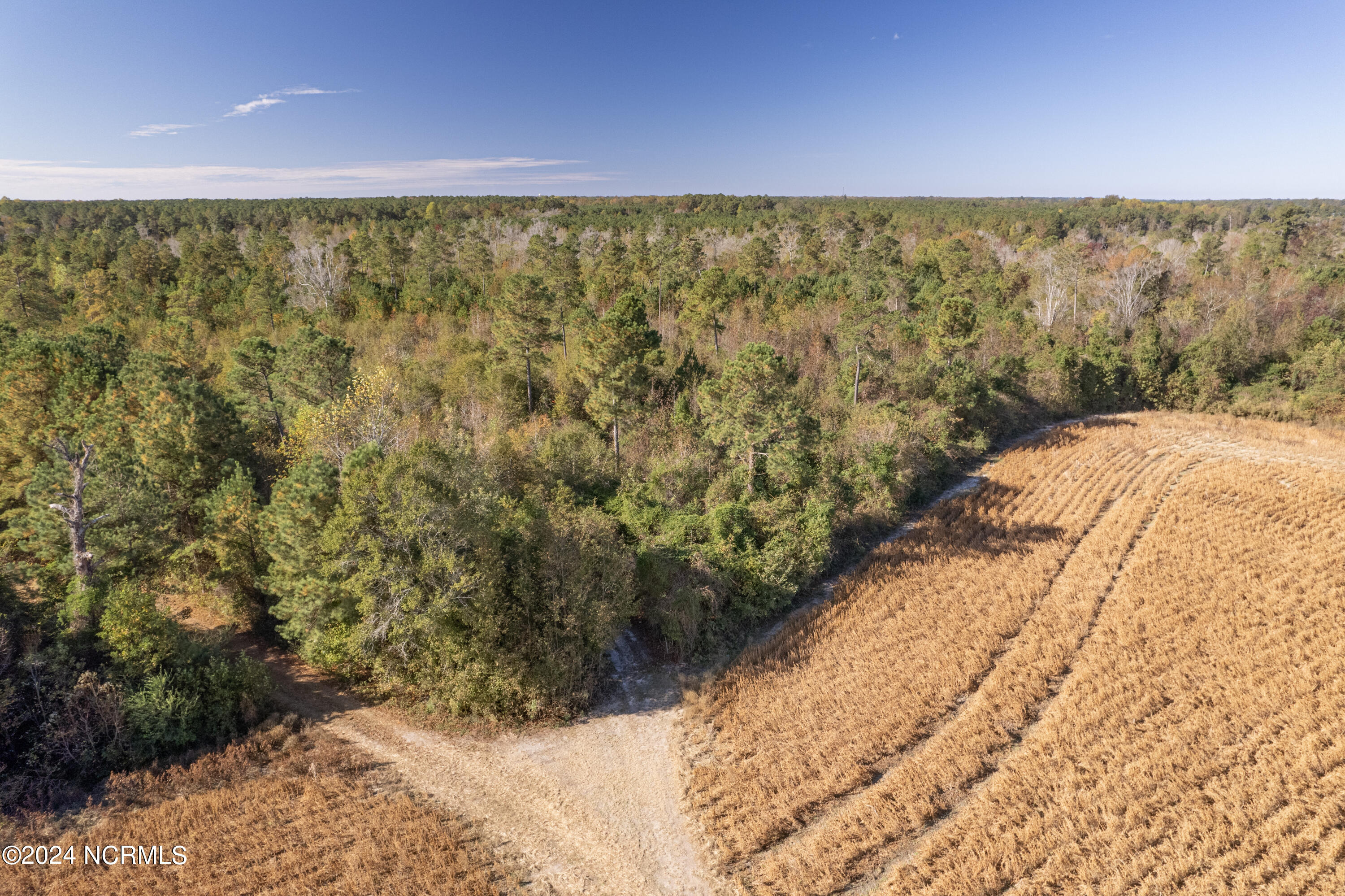 Tbd Bull Tail Road Property Photo 14