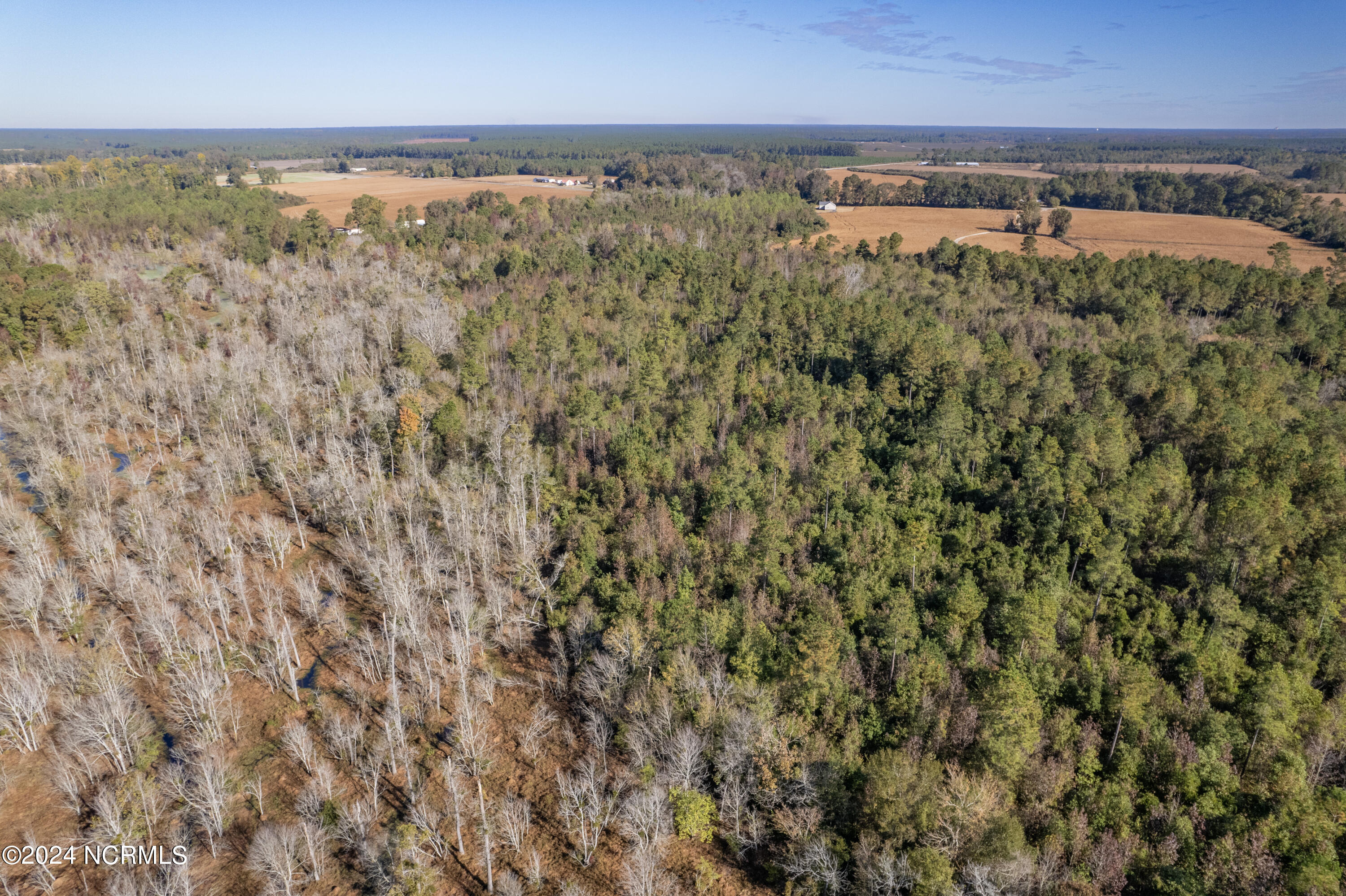 Tbd Bull Tail Road Property Photo 18