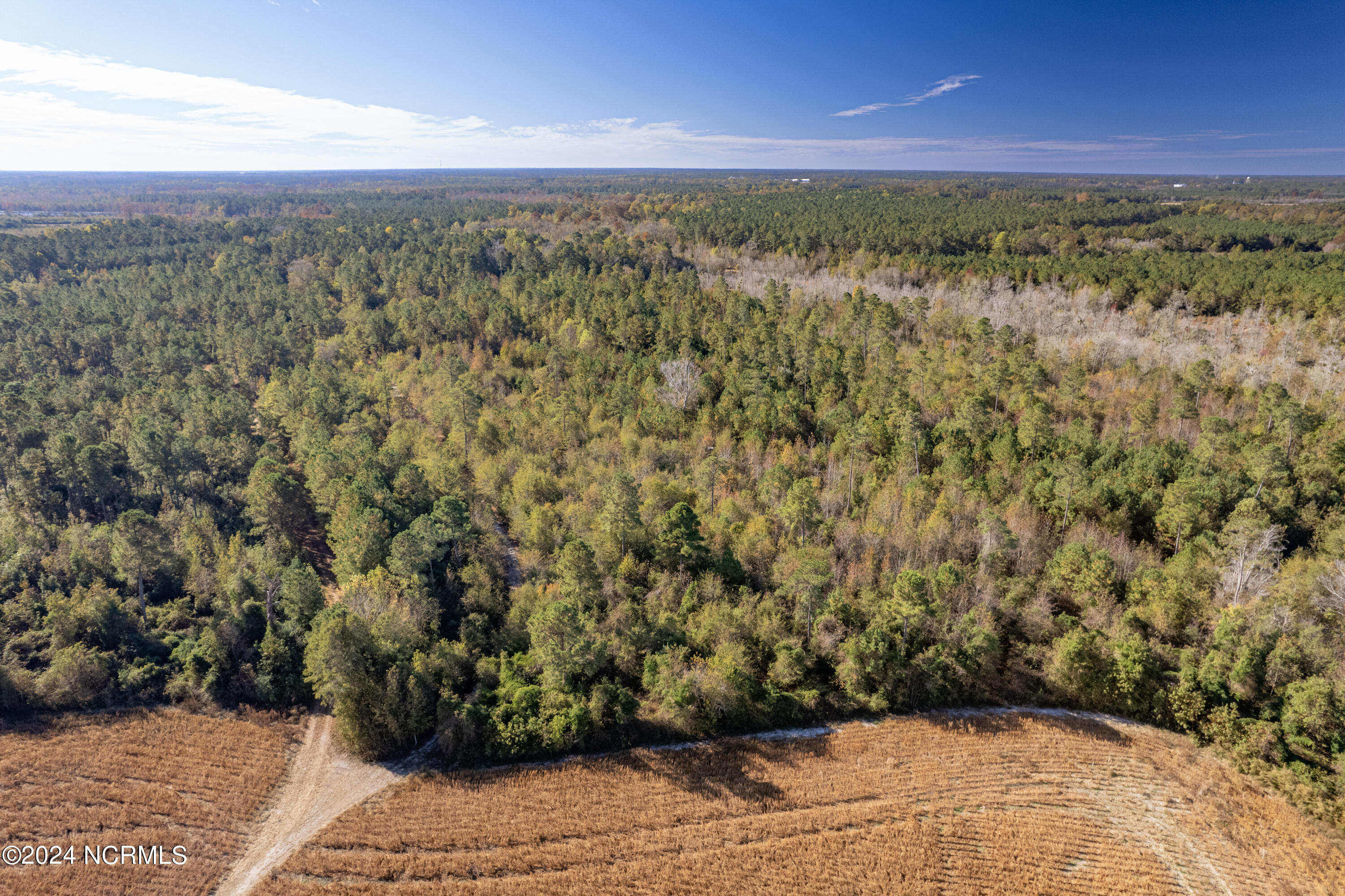 Tbd Bull Tail Road Property Photo 19