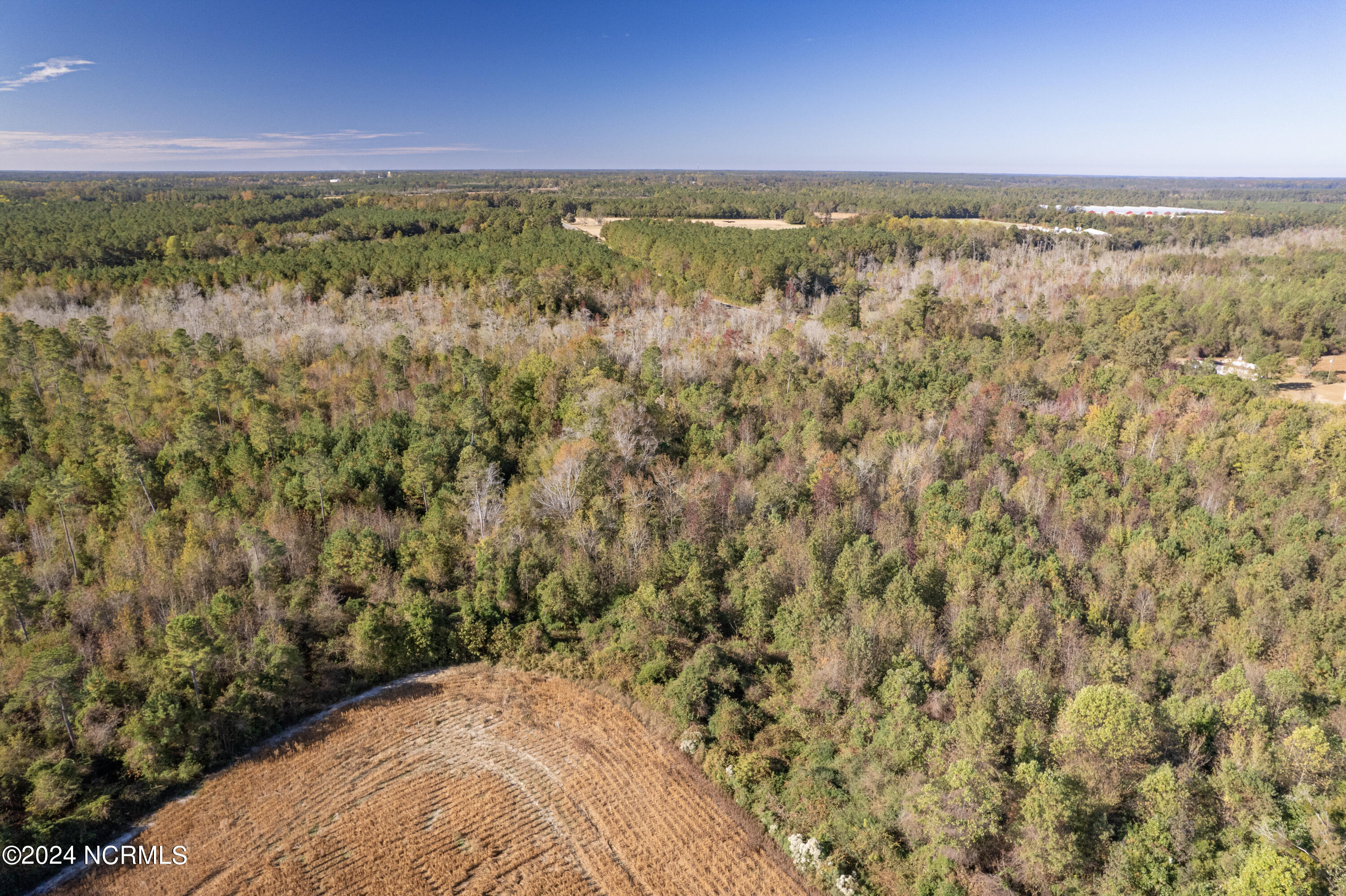 Tbd Bull Tail Road Property Photo 20