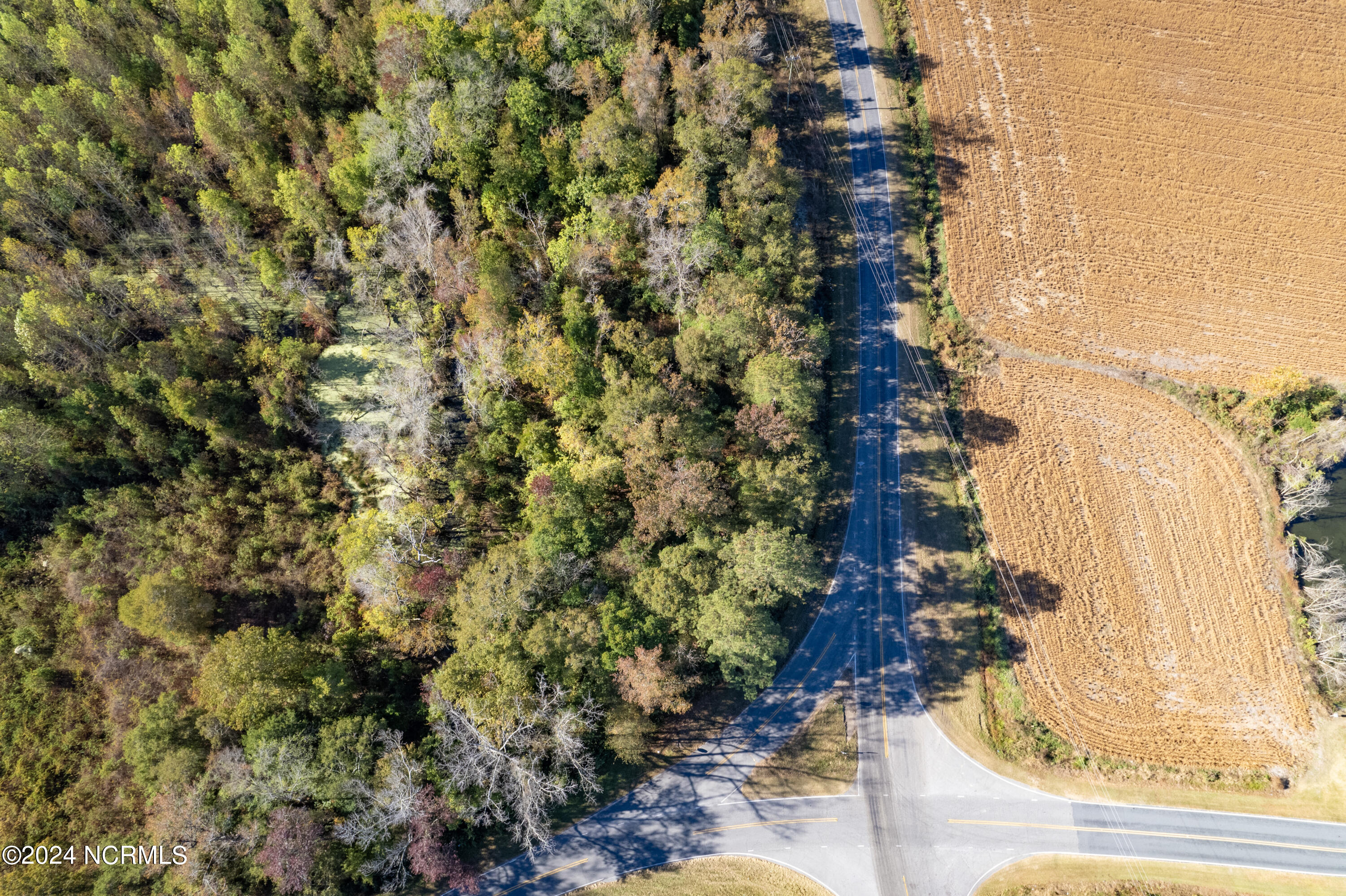Tbd Bull Tail Road Property Photo 22