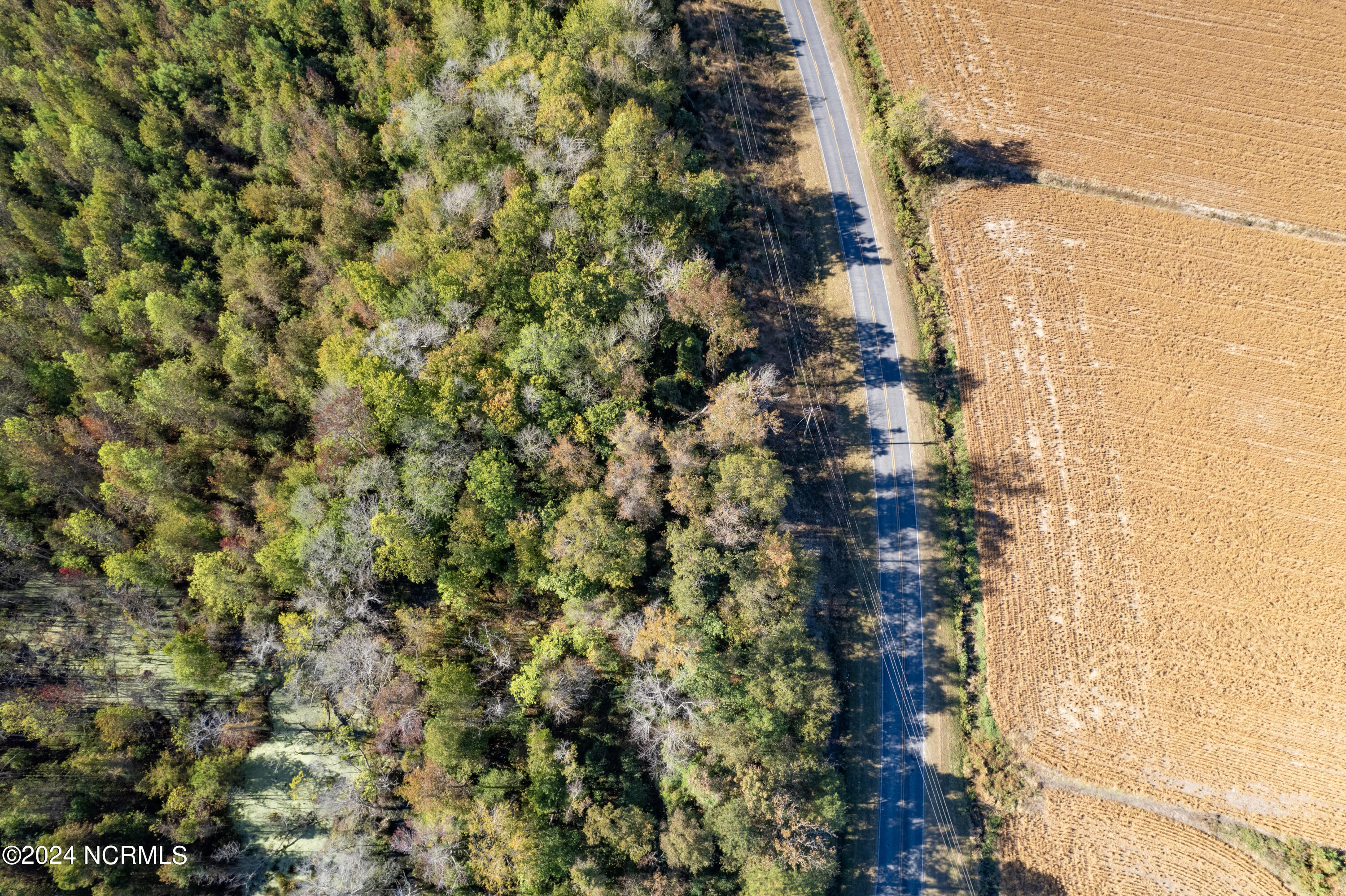 Tbd Bull Tail Road Property Photo 23