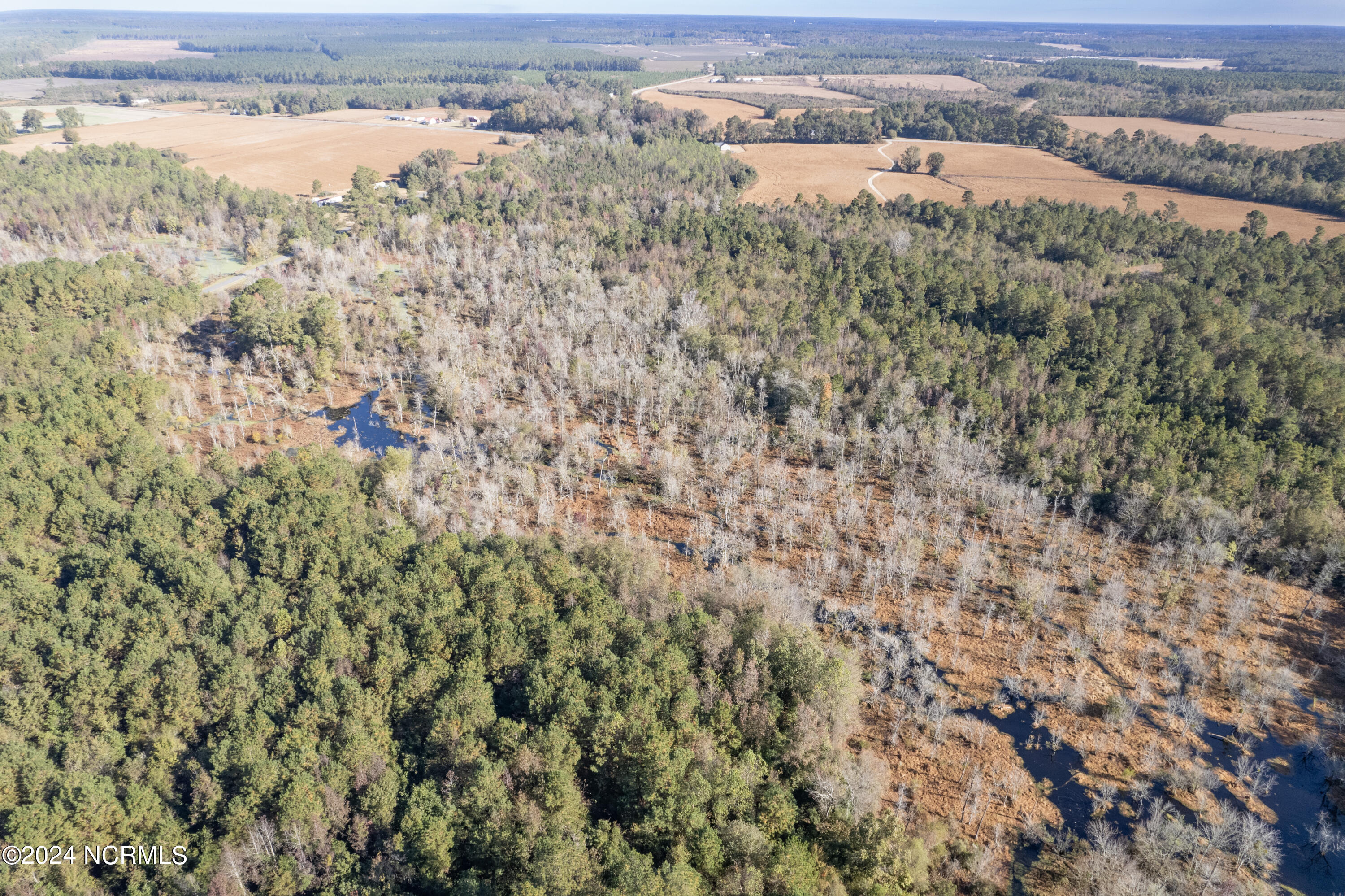 Tbd Bull Tail Road Property Photo 27