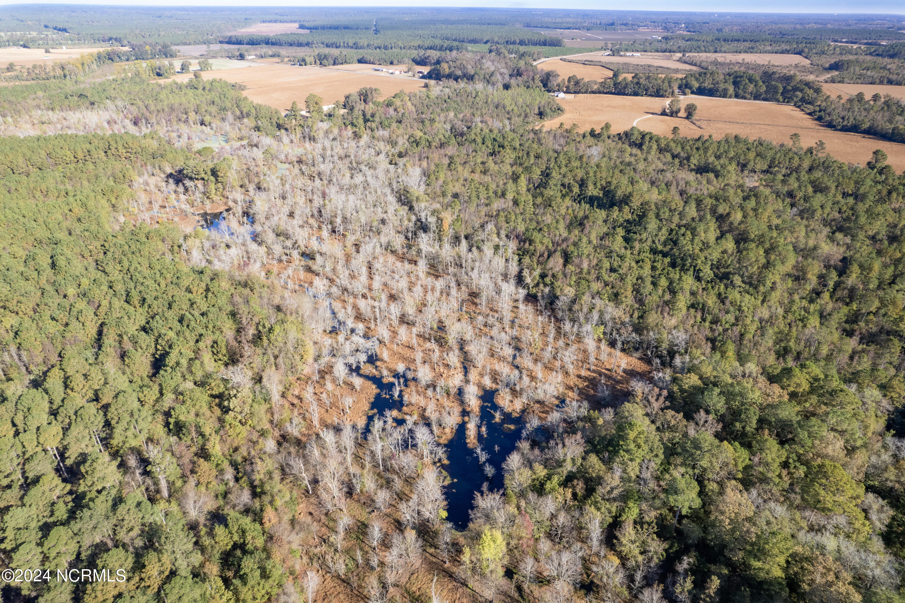 Tbd Bull Tail Road Property Photo 28