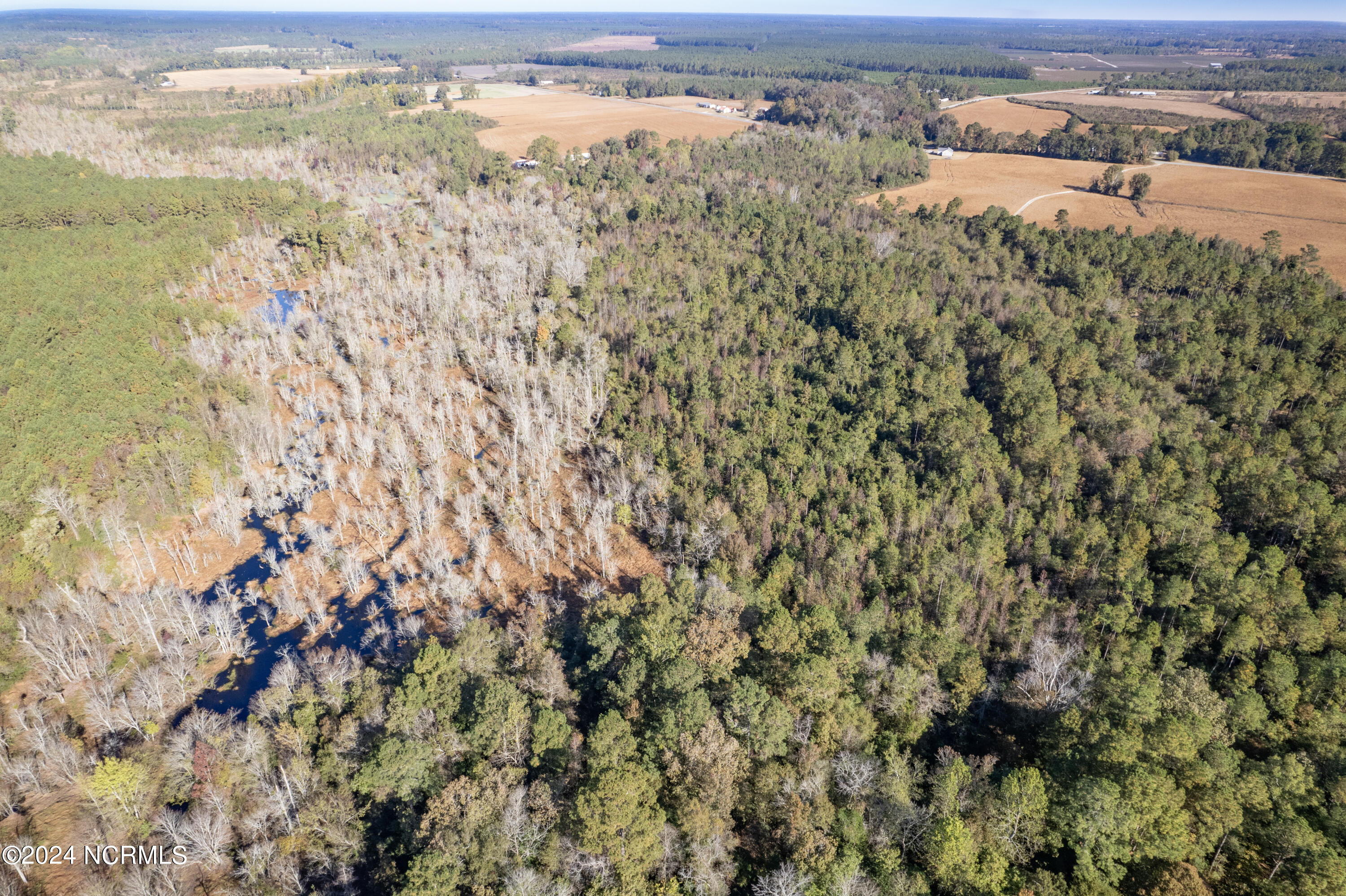 Tbd Bull Tail Road Property Photo 29