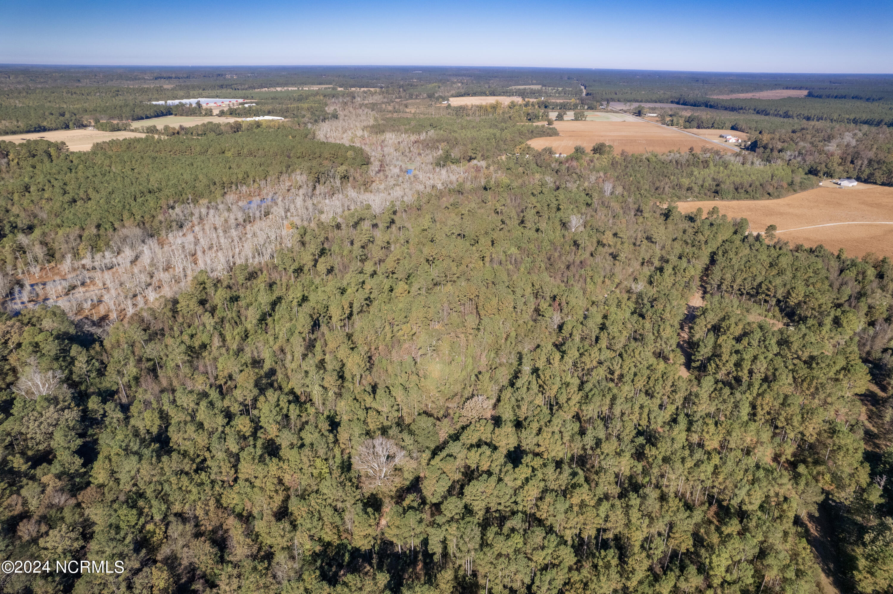 Tbd Bull Tail Road Property Photo 30
