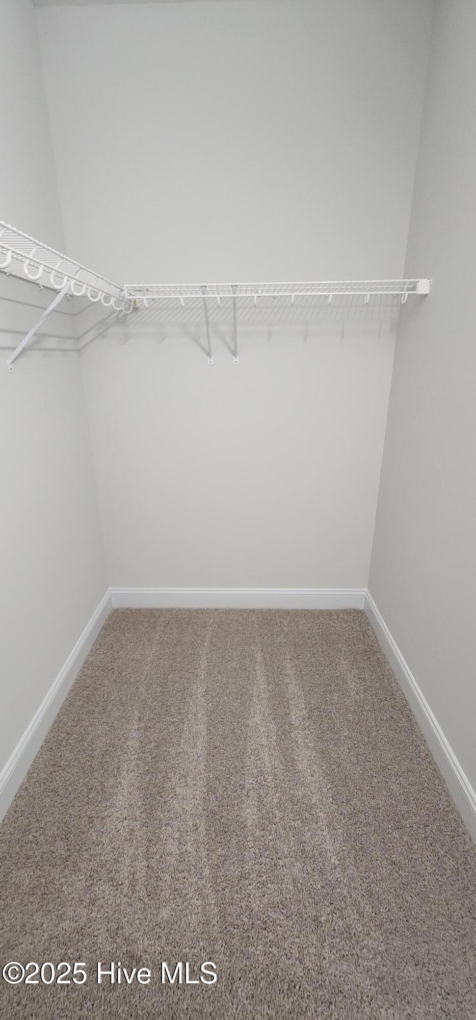 2019 Bluewater Boulevard Property Photo 34