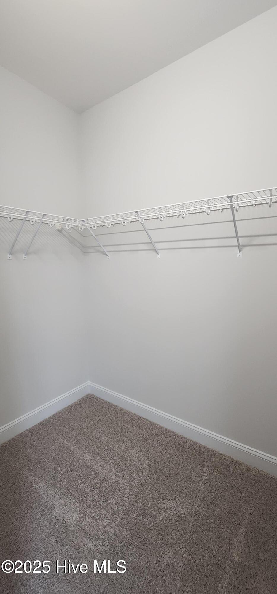 2019 Bluewater Boulevard Property Photo 38