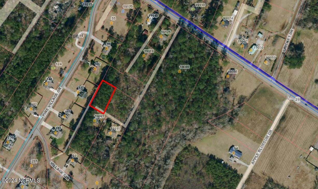 .46 Acres Nc Hwy 210 Property Photo 1