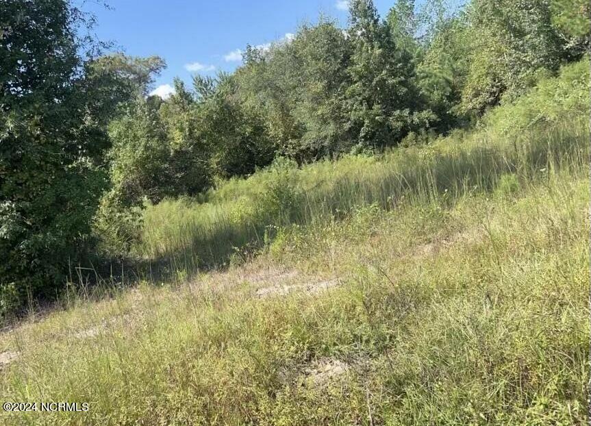 0 Point Caswell Road Property Photo
