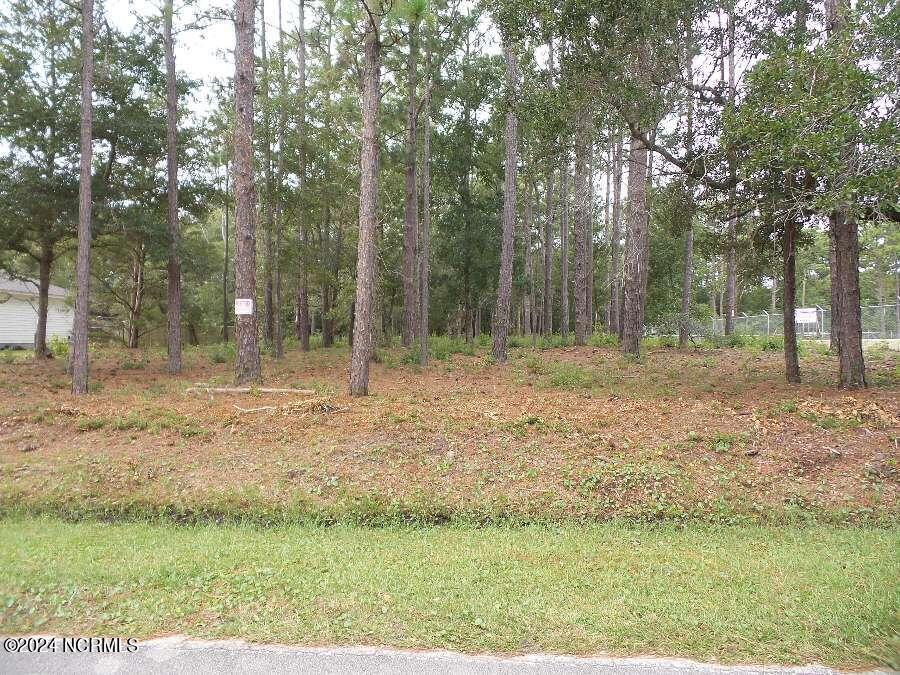 136 Hibbs Extension Ext Property Photo 3