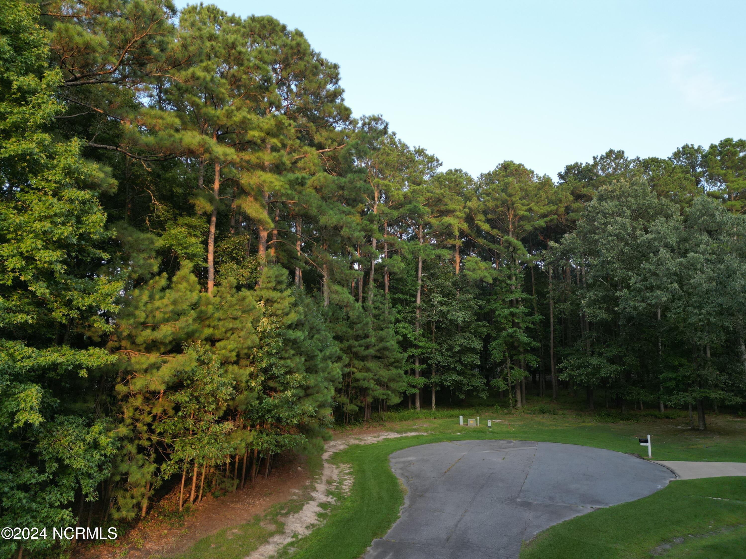 111 Chatooga Court Property Photo 3