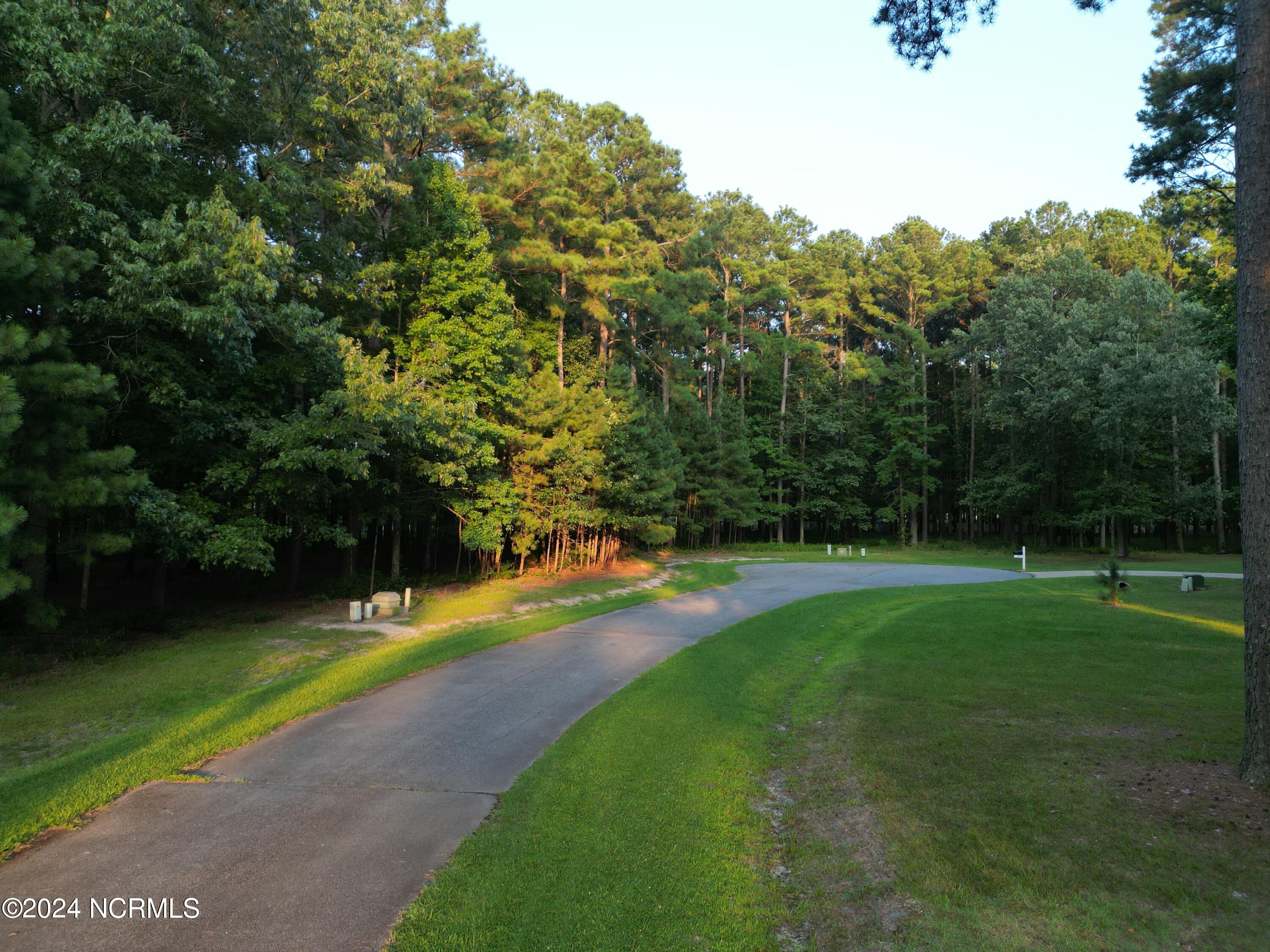 111 Chatooga Court Property Photo 6
