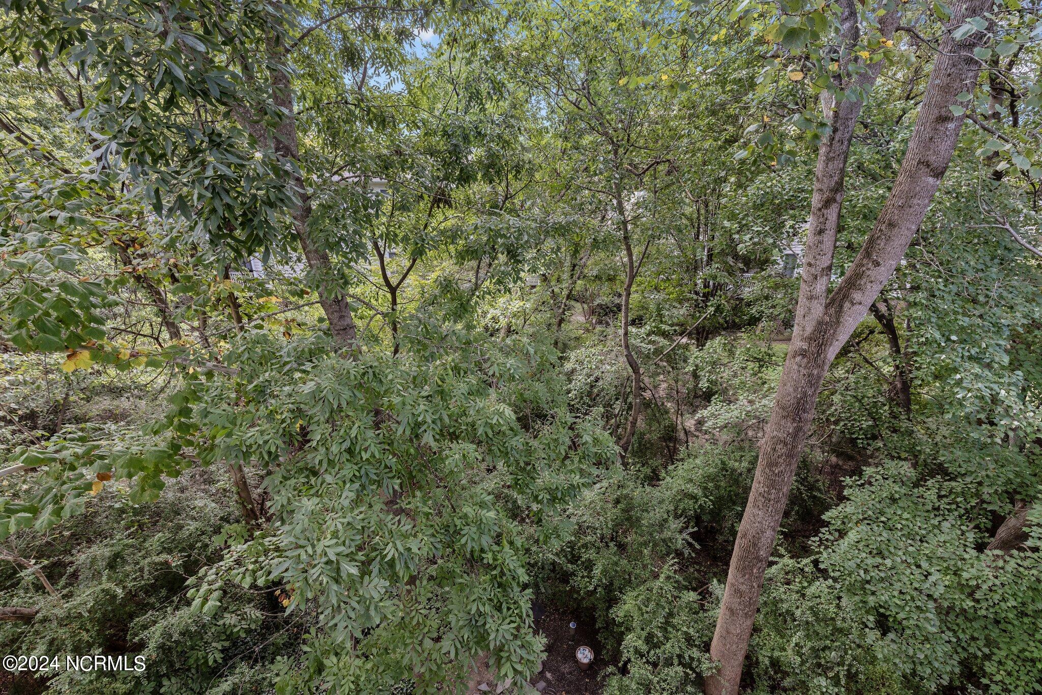 2810 Bedford Green Drive 304 Property Photo 15