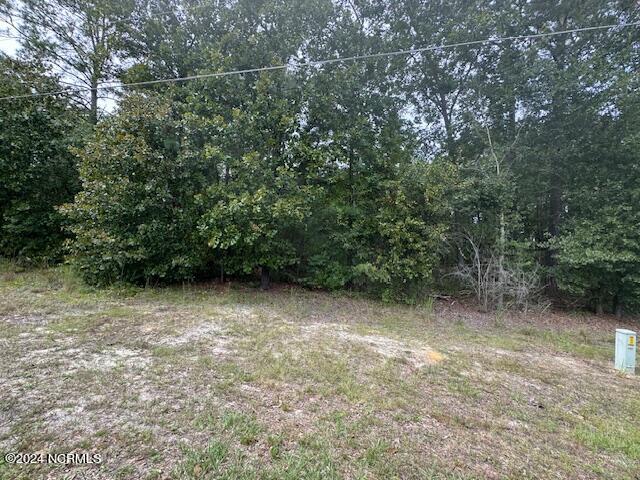 19 Ida Mill Road Property Photo