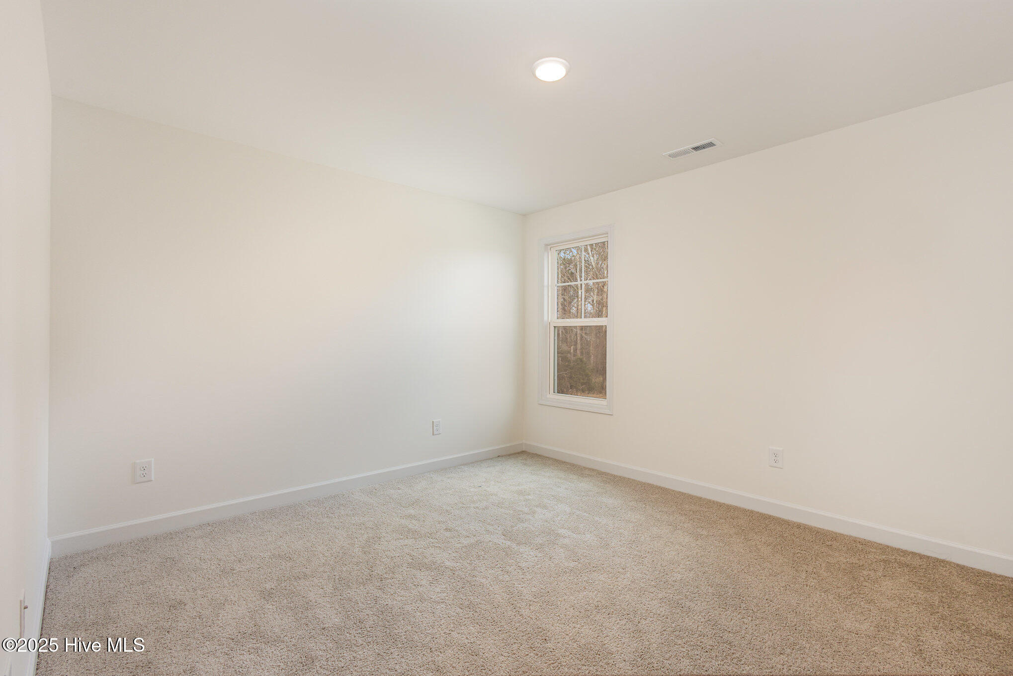 46 Lupin Drive Property Photo 20