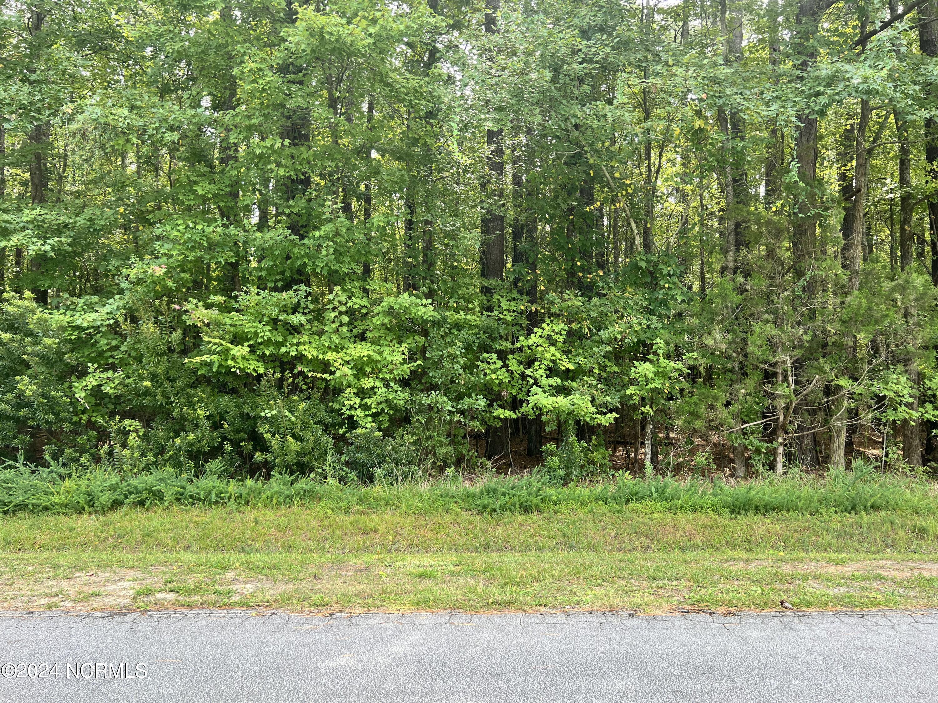 Lot 19 Hill's Point Property Photo