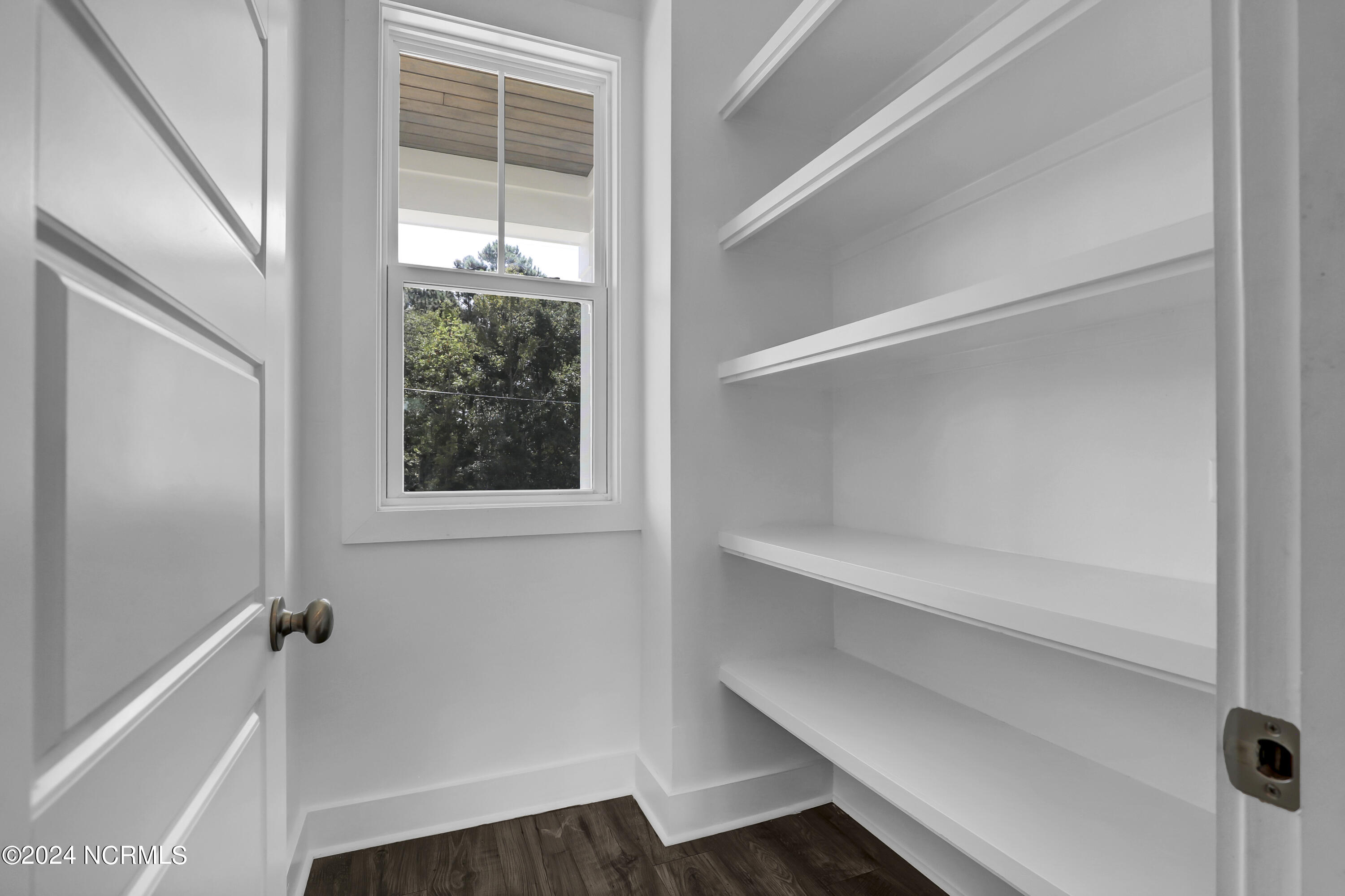 361 Chadwick Shores Drive Property Photo 11