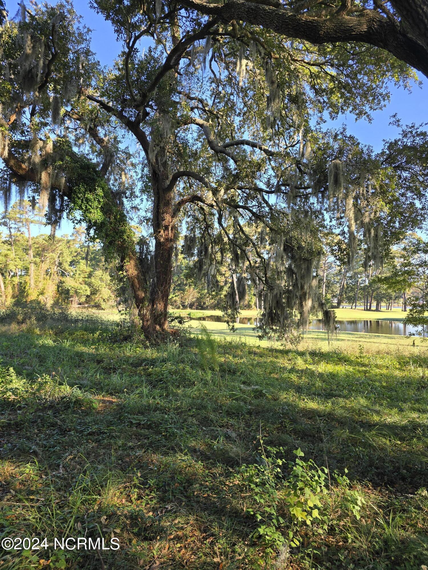 406 Shoreline Drive Property Photo 3