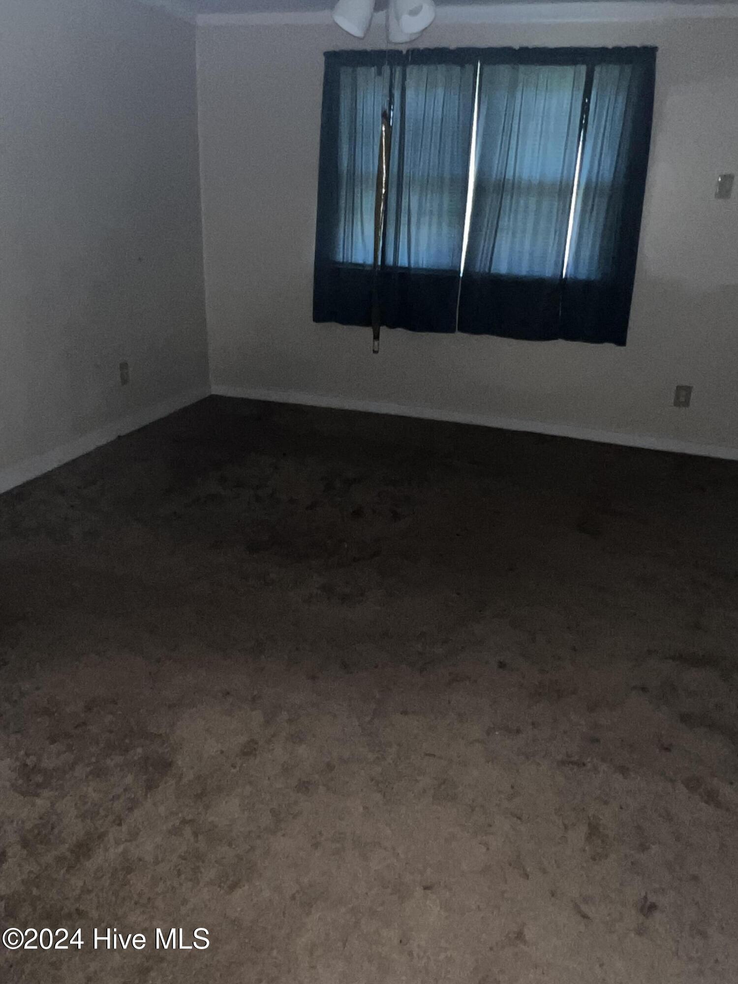 178 Wildcat Pond Road Property Photo 15