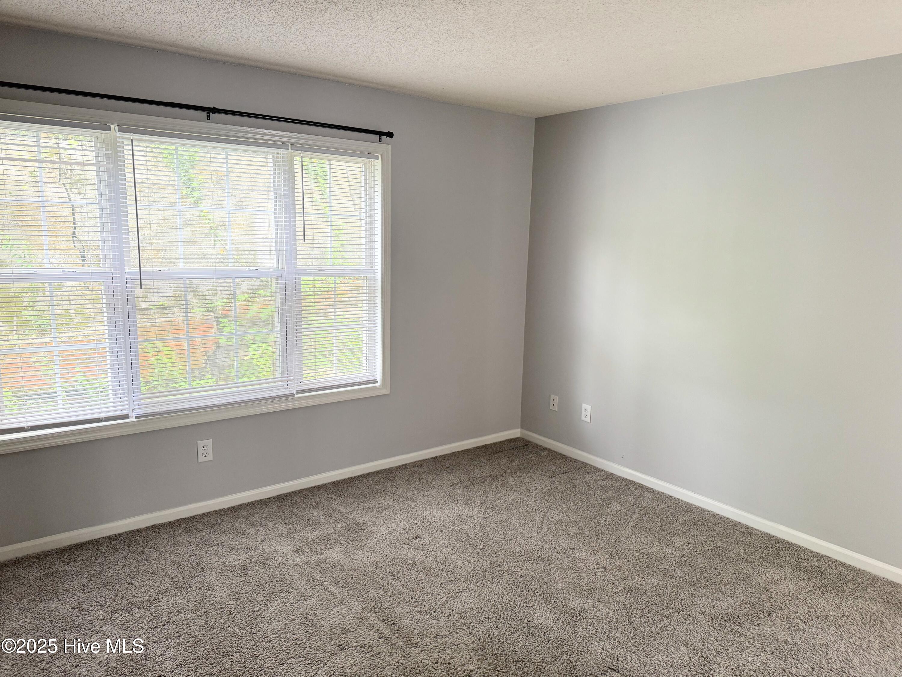 518 N 2nd Street 202 Property Photo 5