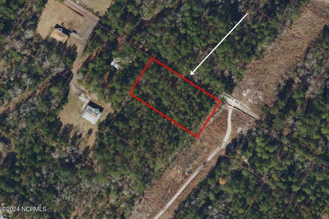 0 Demps Road Property Photo 1