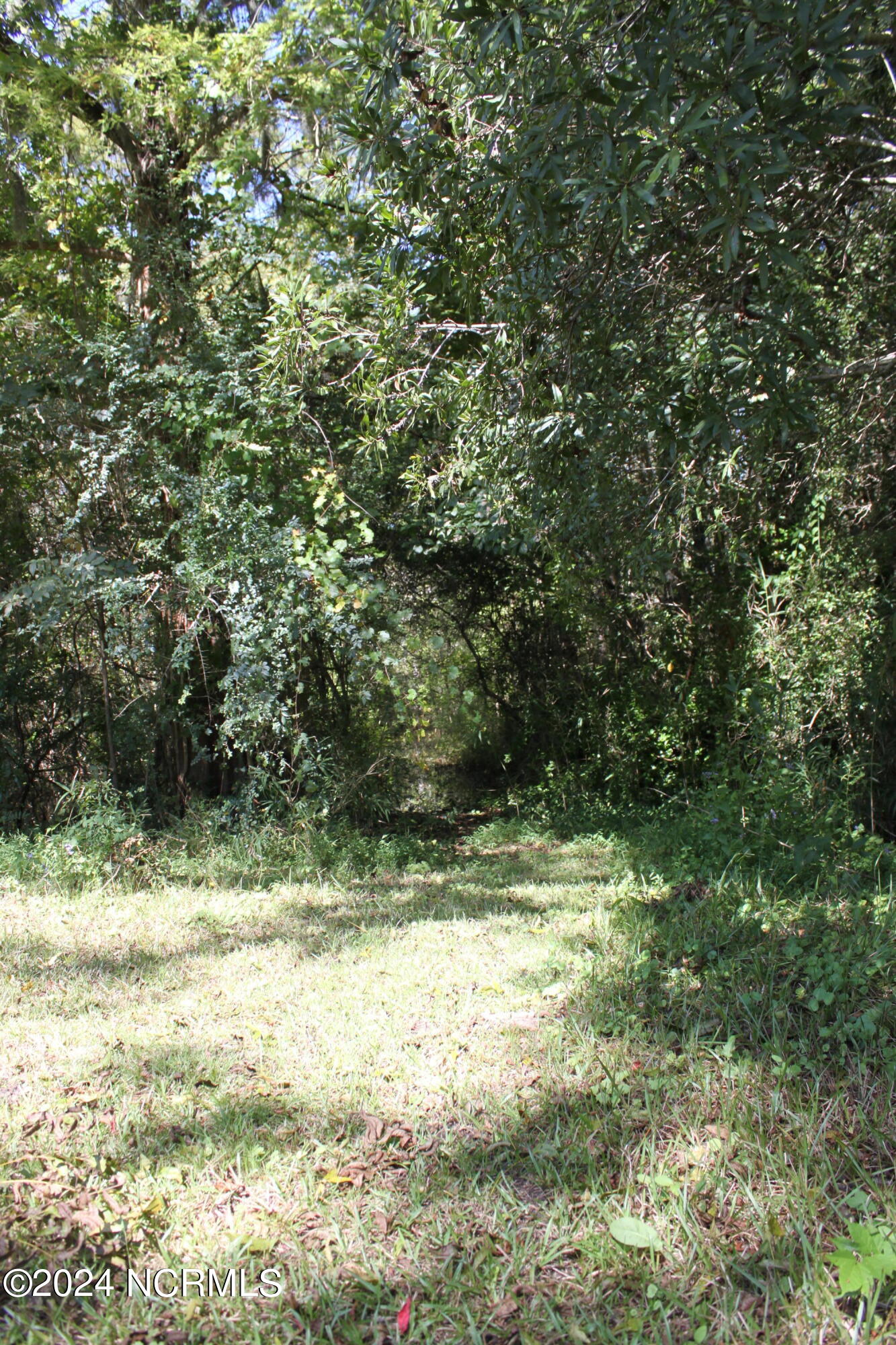 419 Cannons Ferry Road Property Photo 18