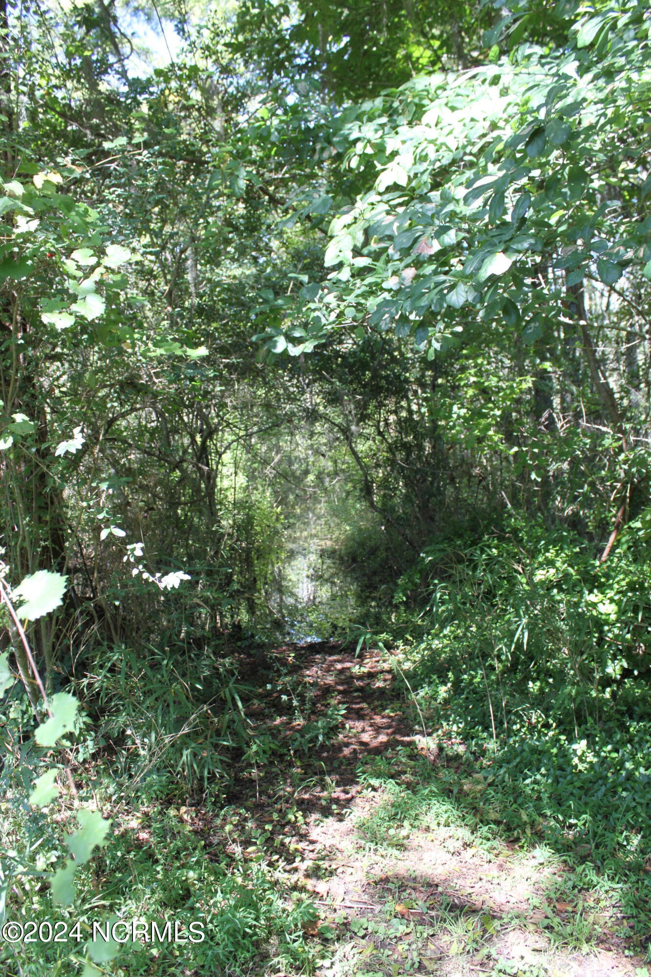 419 Cannons Ferry Road Property Photo 19