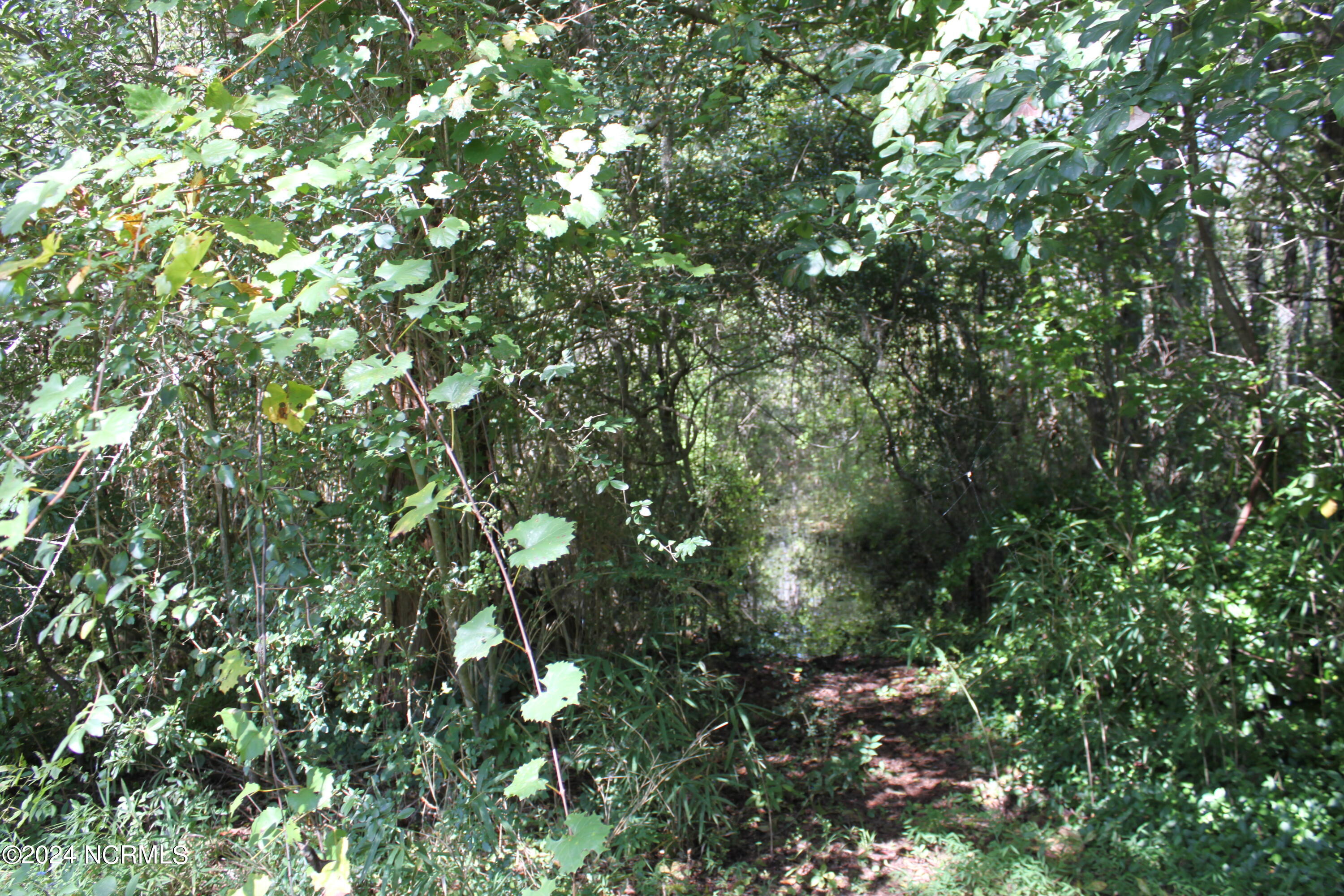 419 Cannons Ferry Road Property Photo 20