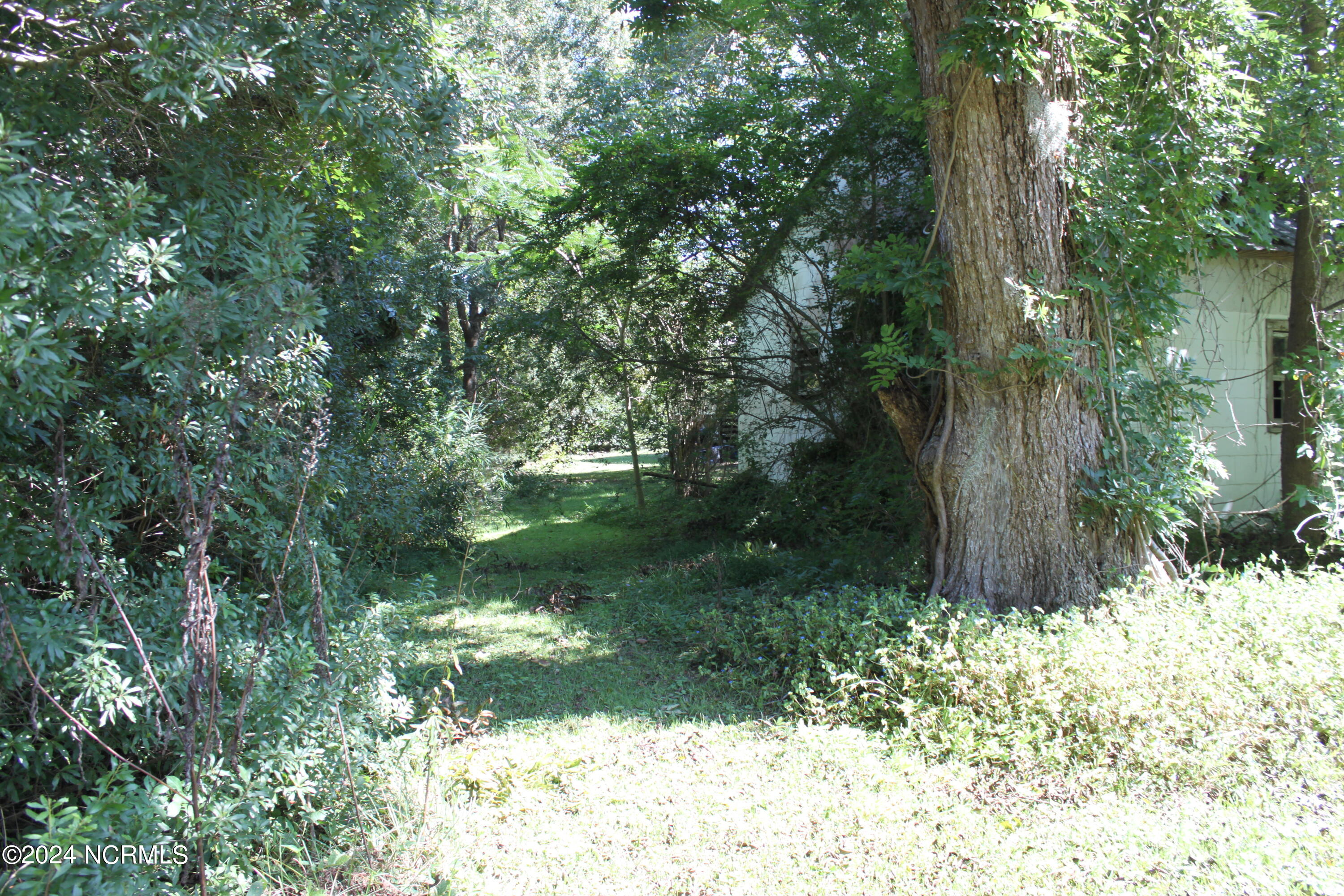 419 Cannons Ferry Road Property Photo 21