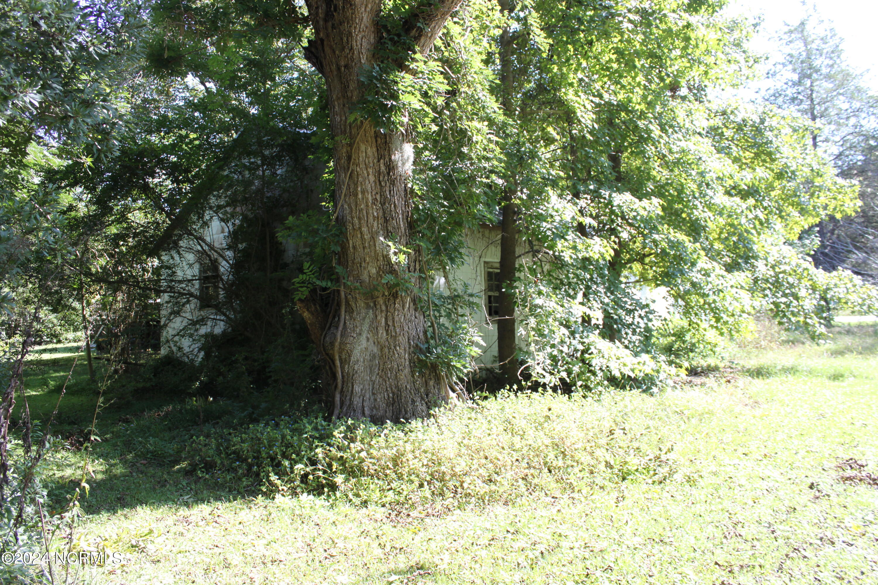 419 Cannons Ferry Road Property Photo 22
