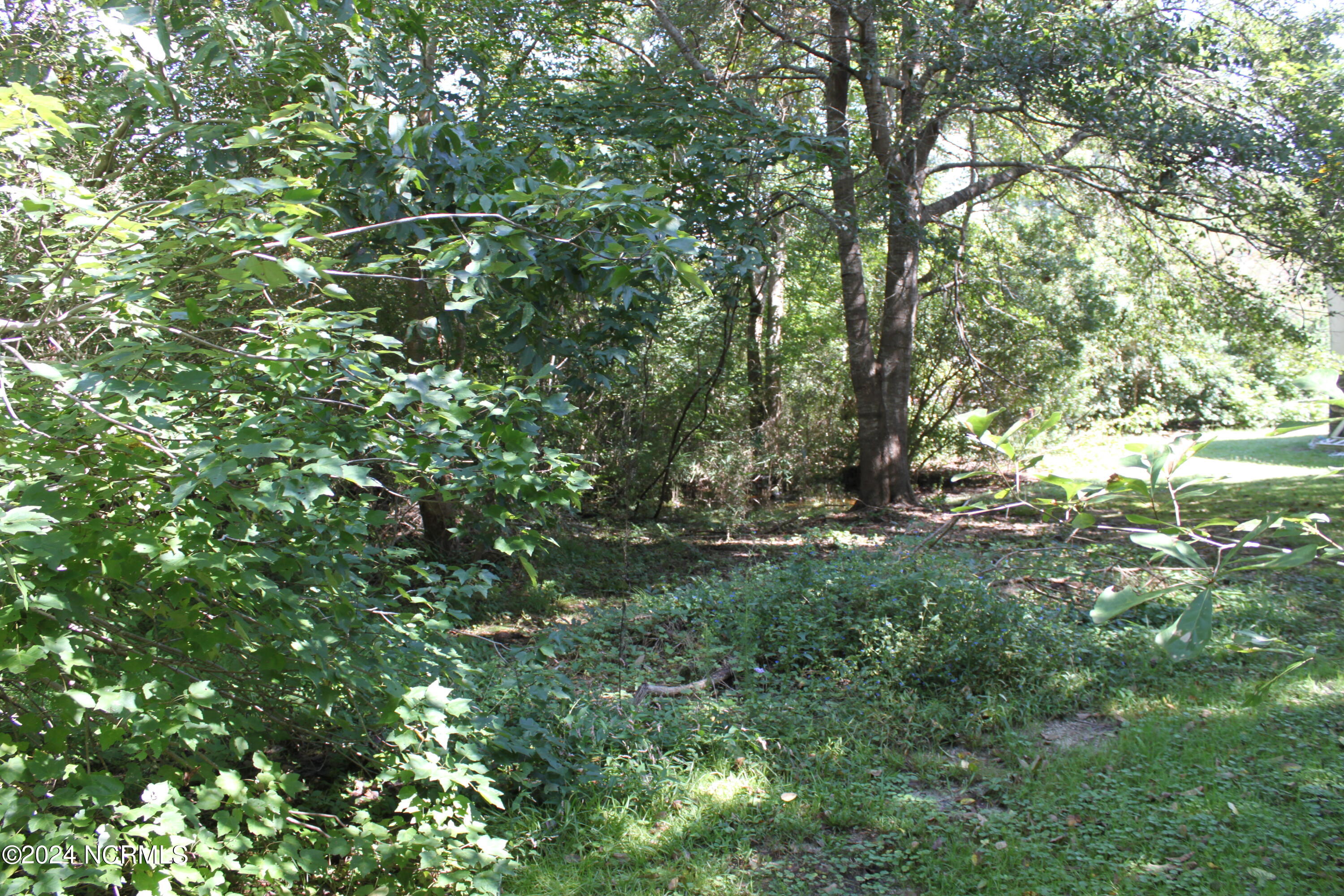 419 Cannons Ferry Road Property Photo 24