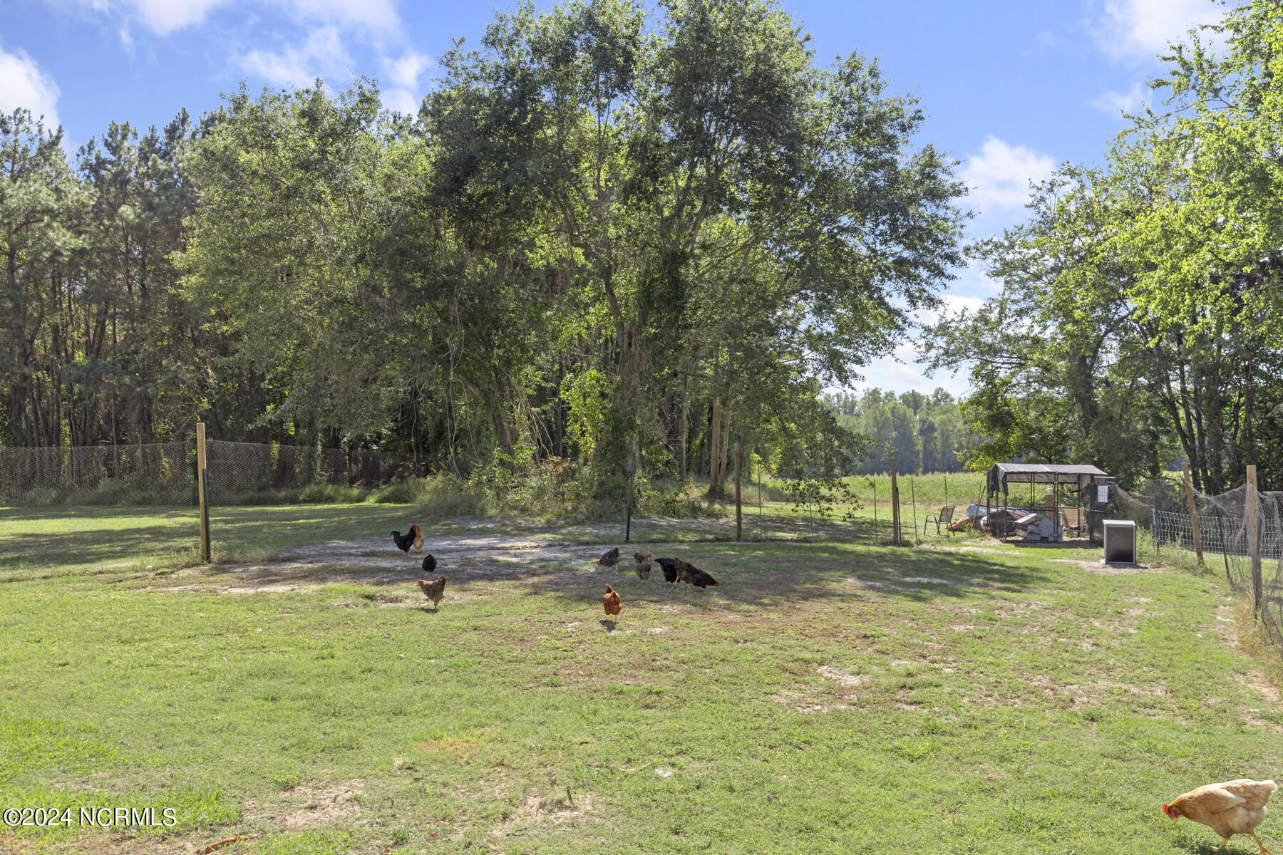1689 N Nc Hwy-111 Property Photo 35