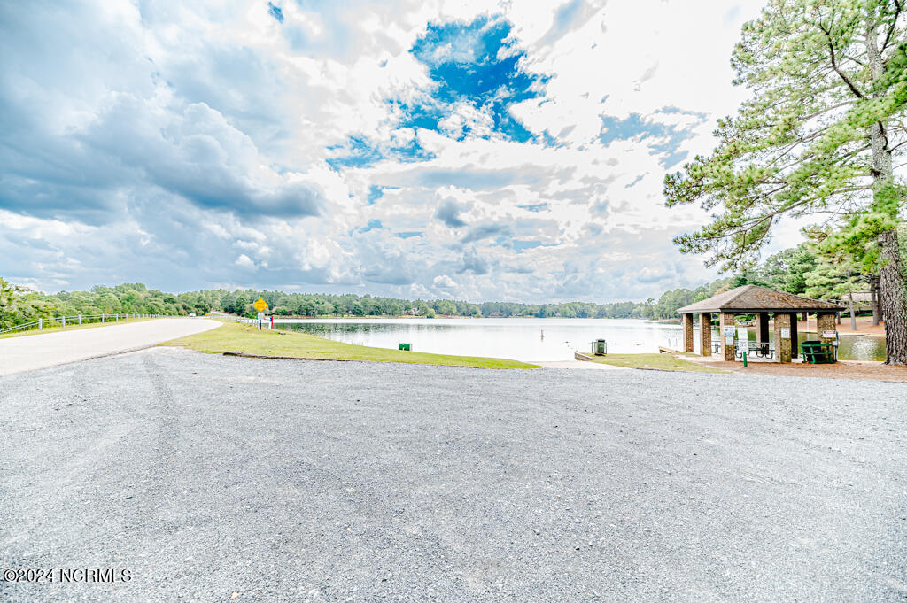 241 Firetree Lane Property Photo 35