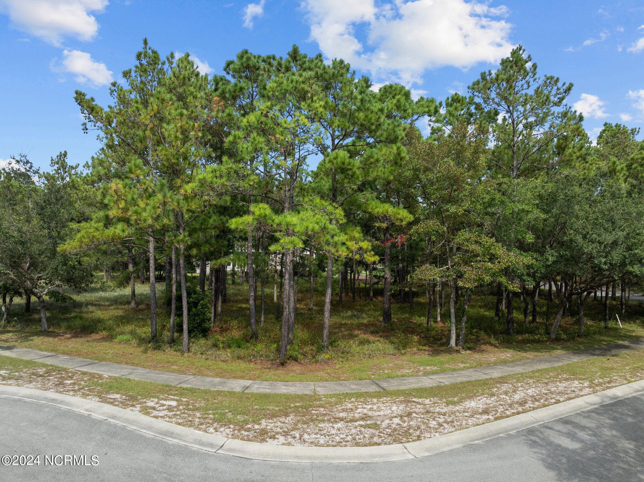 3751 Acadian Avenue Property Photo 1