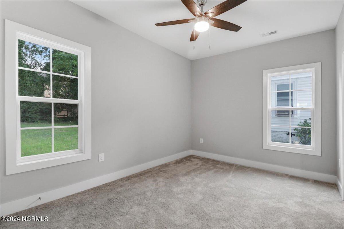 309 Ridley Street Property Photo 19